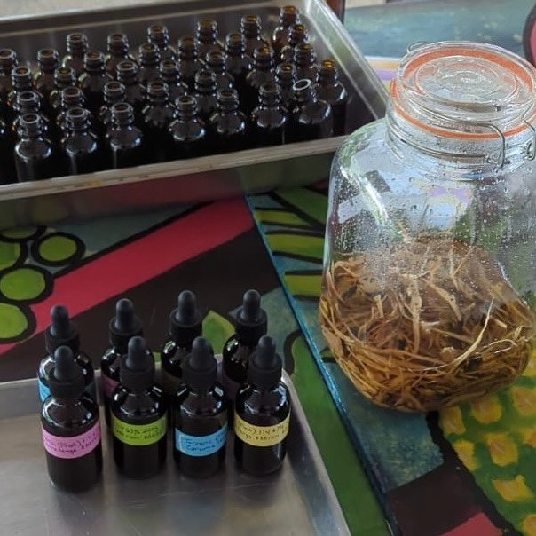 Community medicine making at Source Farm.  Plant medicine tinctures for various uses.  #natural #plantmedicine #sourcefarmlife #jamaicanherbs #bushmedicine