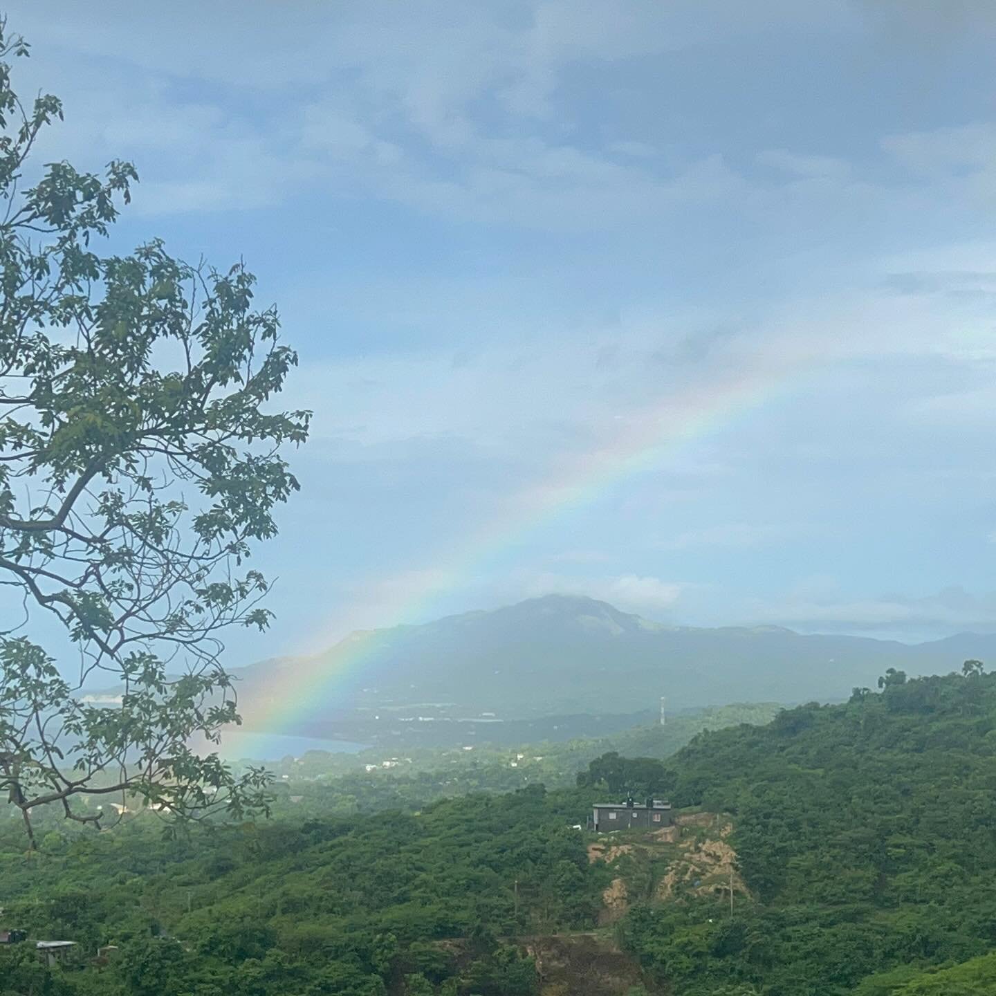 Our St. Thomas home is a treasure.  Happy Monday!  Remember to support Nicola&rsquo;s Trip to the IPC 2024 in Taiwan.  Link is in our bio. No amount is too small.  #mondaymotivation #stthomasjamaica #sourcefarmlife