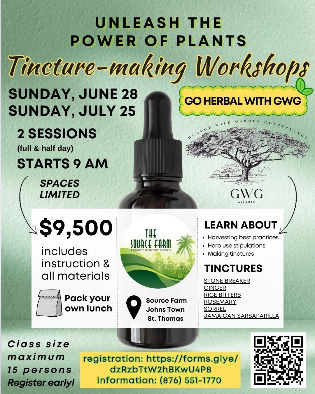 TINCTURE-MAKING WORKSHOP