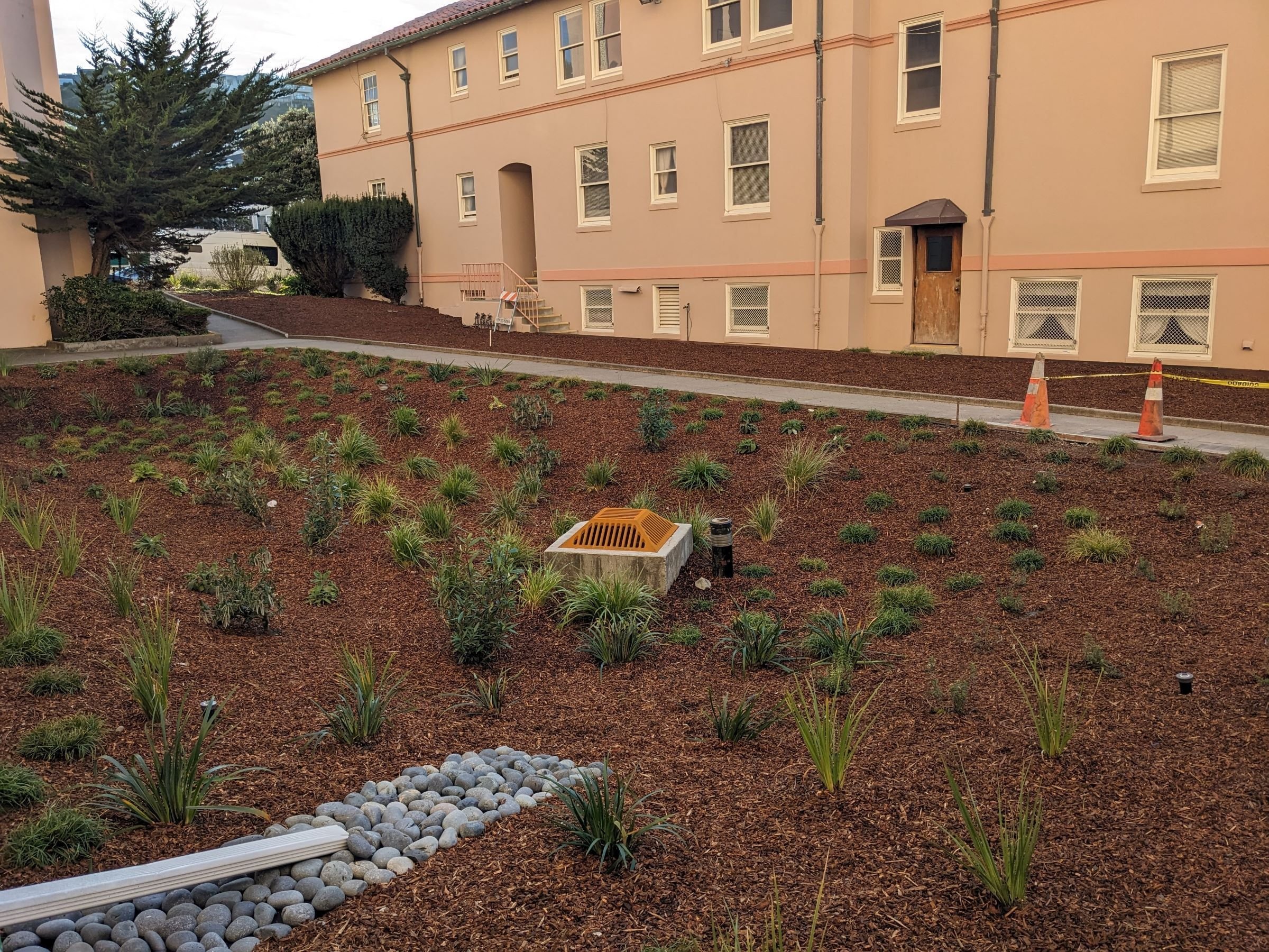 Rain garden and downspout disconnect at St. Anne Church