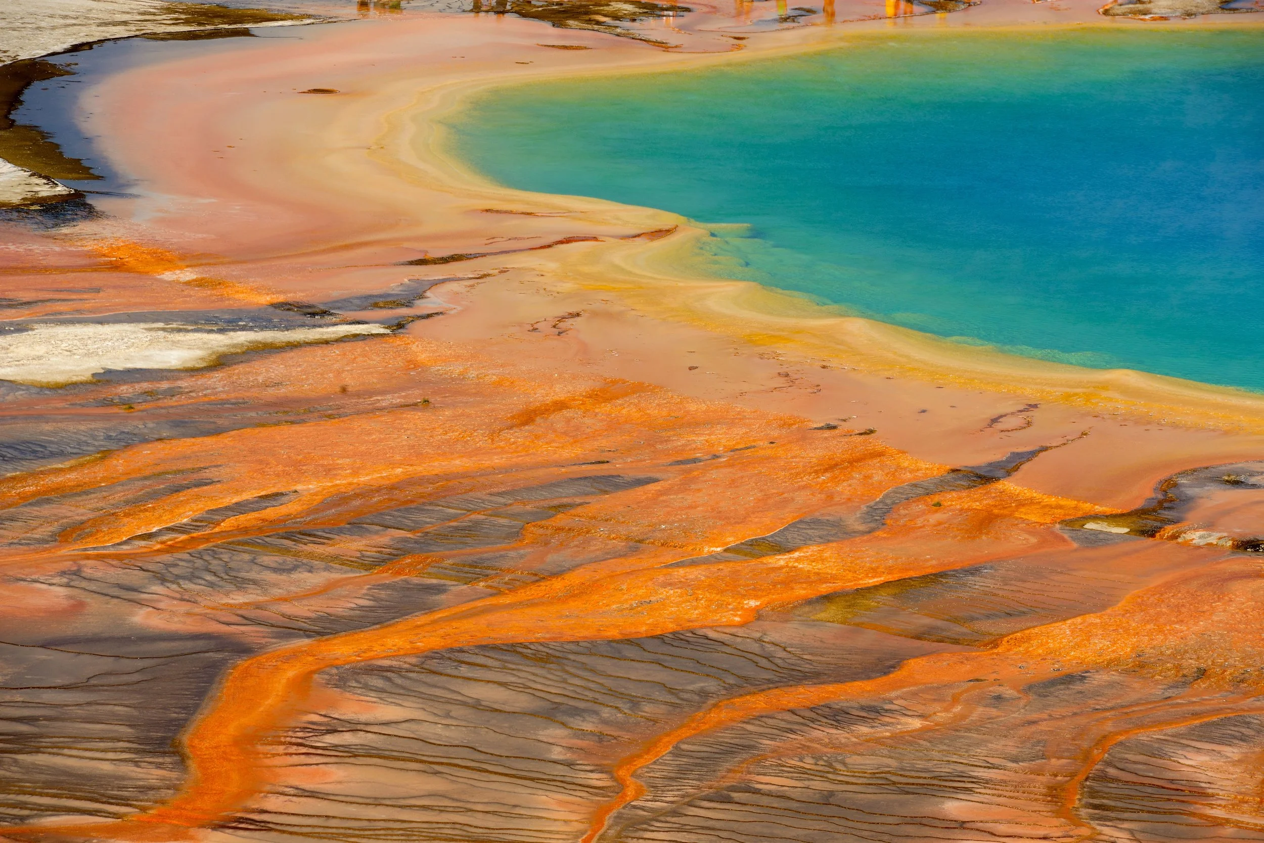 Prismatic Spring 2.jpg