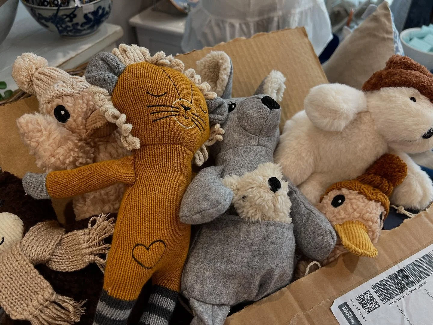 New friends arrived today &hellip; Super cute with natural fibres and big personalities x #wharfstreetforster #shopmidcoast #iloveforstertuncurry #softtoysofinstagram #cuddlebuddie