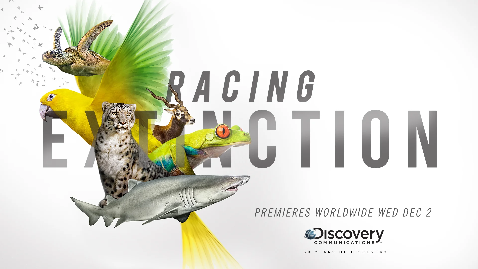 RACING_EXTINCTION_REVISED.jpg