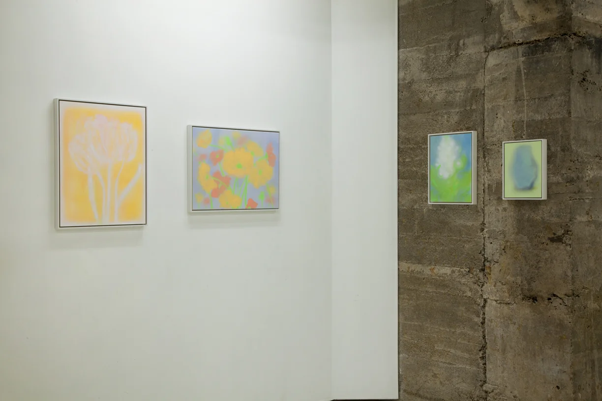 Kevin Ford, Tops Gallery, 22.jpg