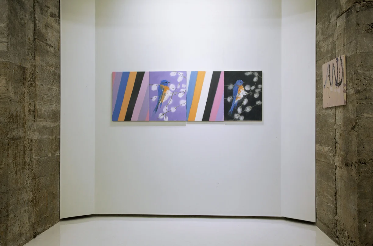 Screen Door, Tops Gallery, 14lo.jpg