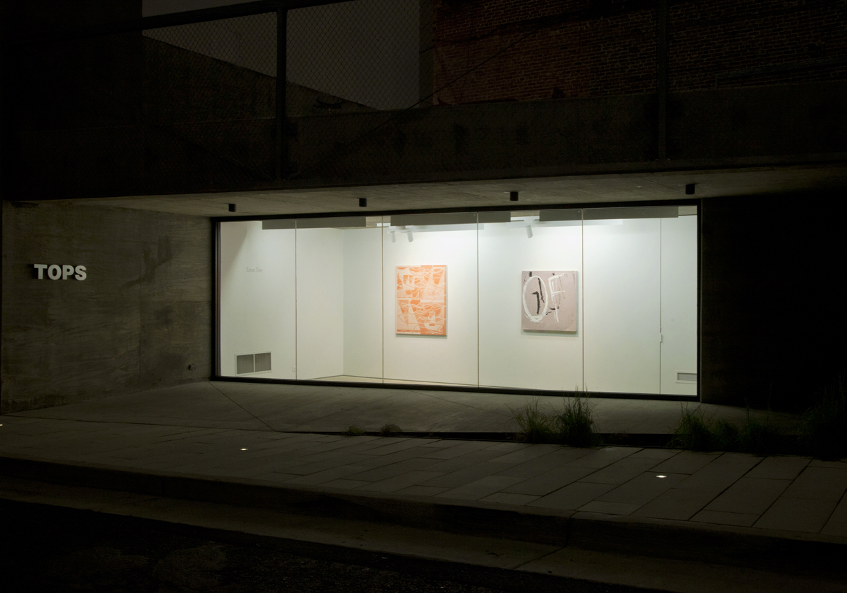 Screen Door, Tops Gallery, 32lo.jpg