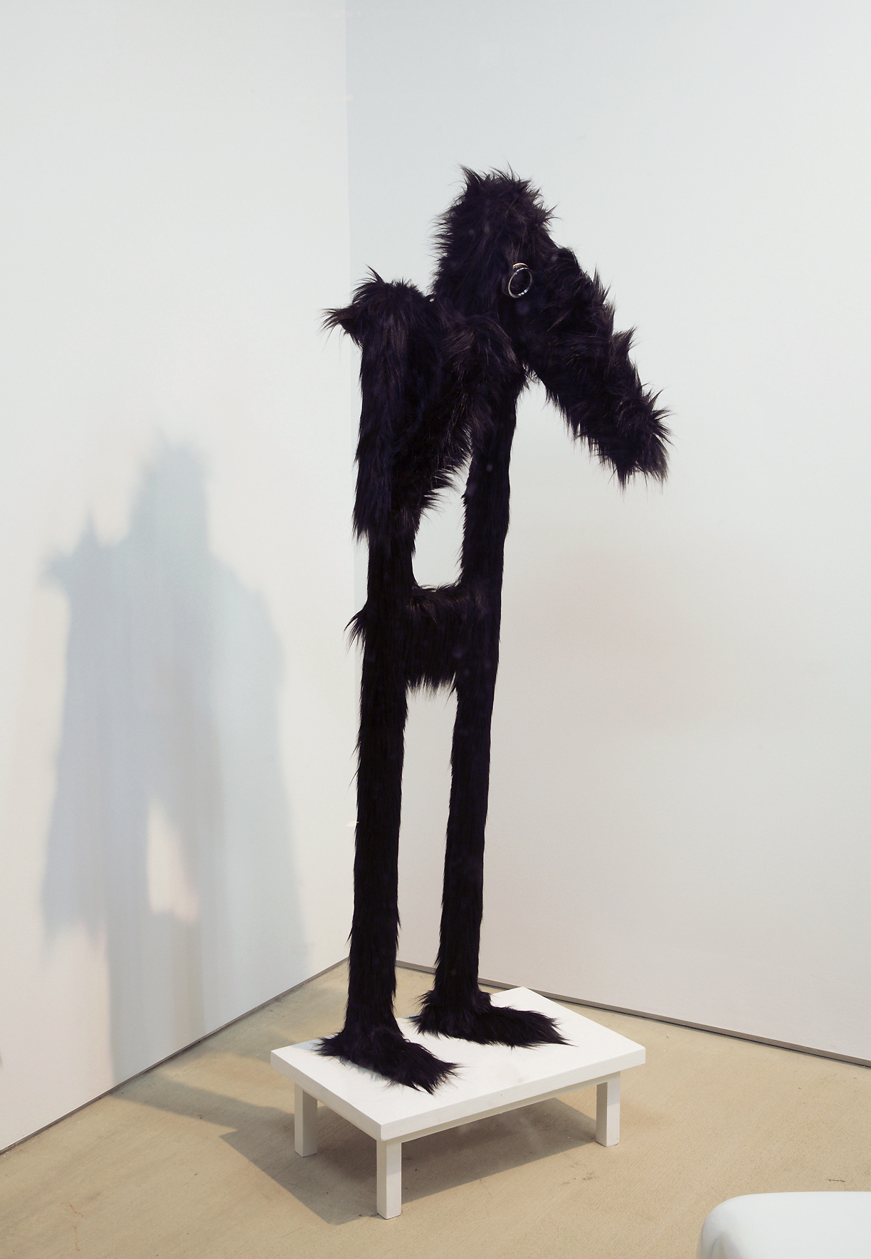 Seth Kelly, Tops Gallery, 2.jpg