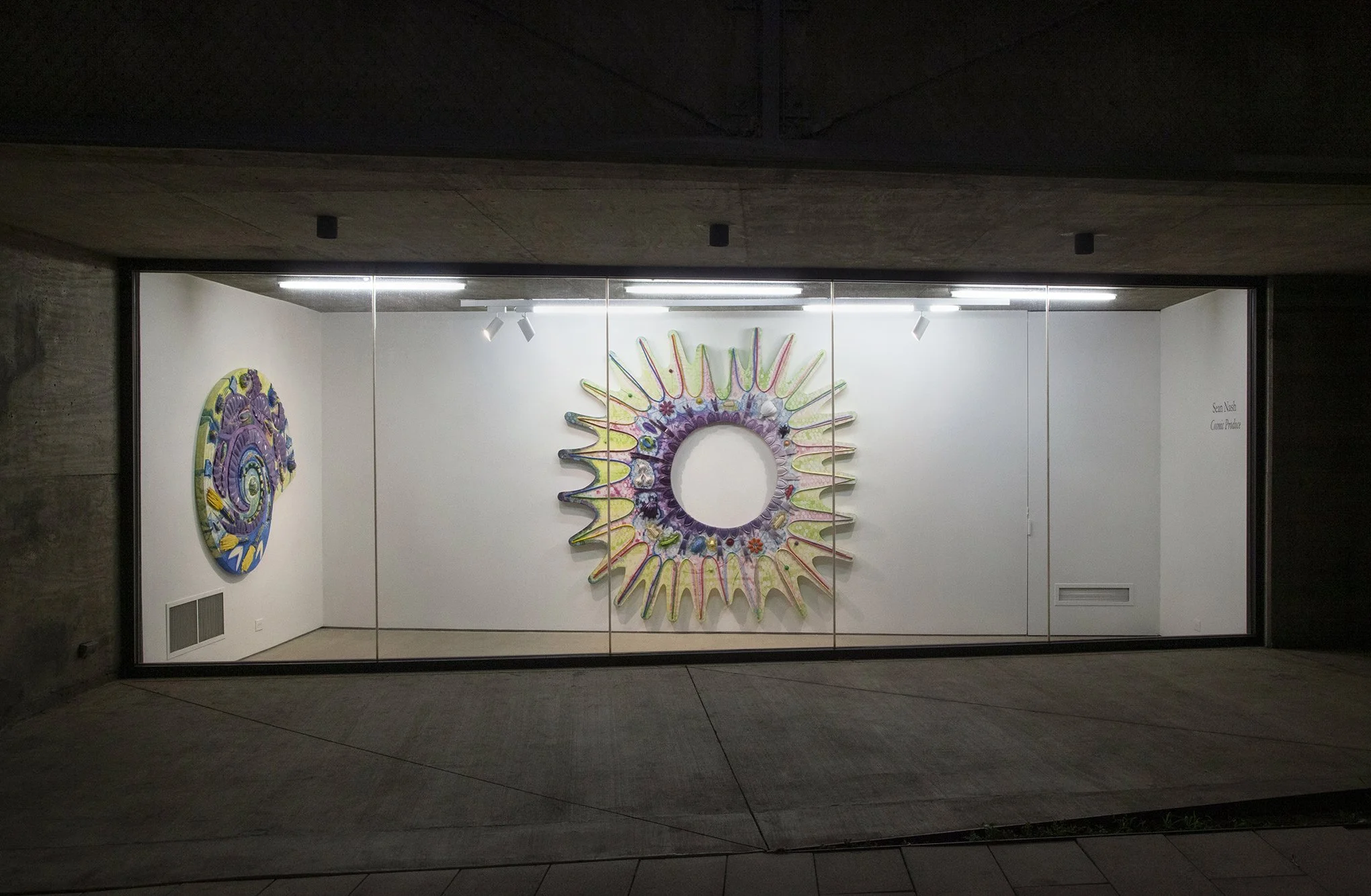 Sean Nash, Tops Gallery, 1.jpg