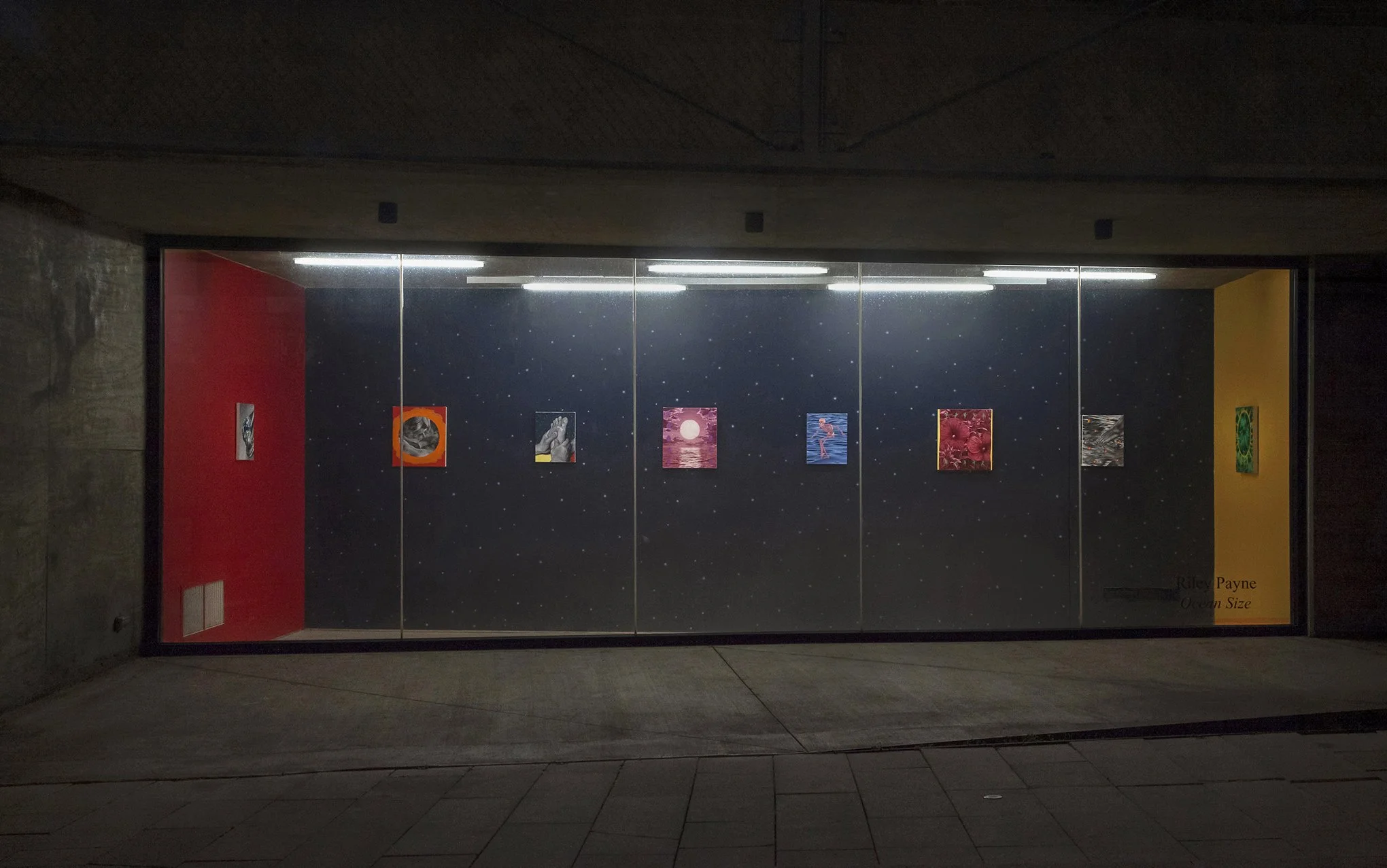 Riley Payne , Tops Gallery, 1.jpg