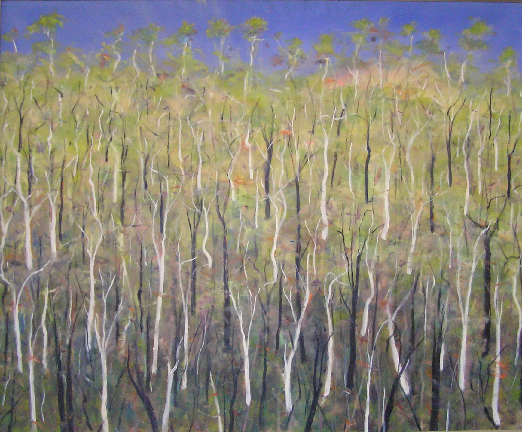 Black and White Trees, 2003