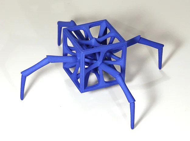 Hedron-insect_76.jpg