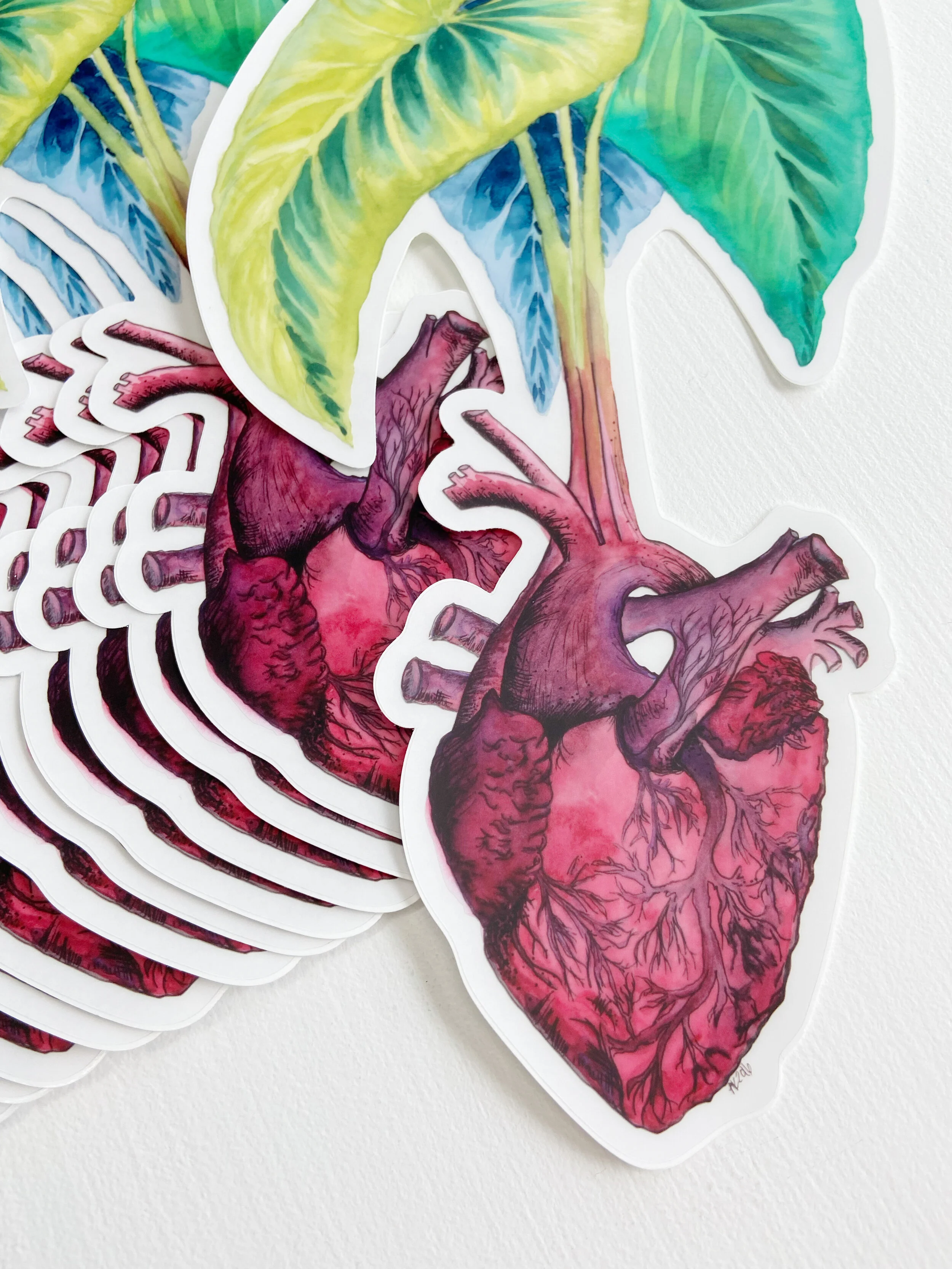 AfterlightImage 231.JPG