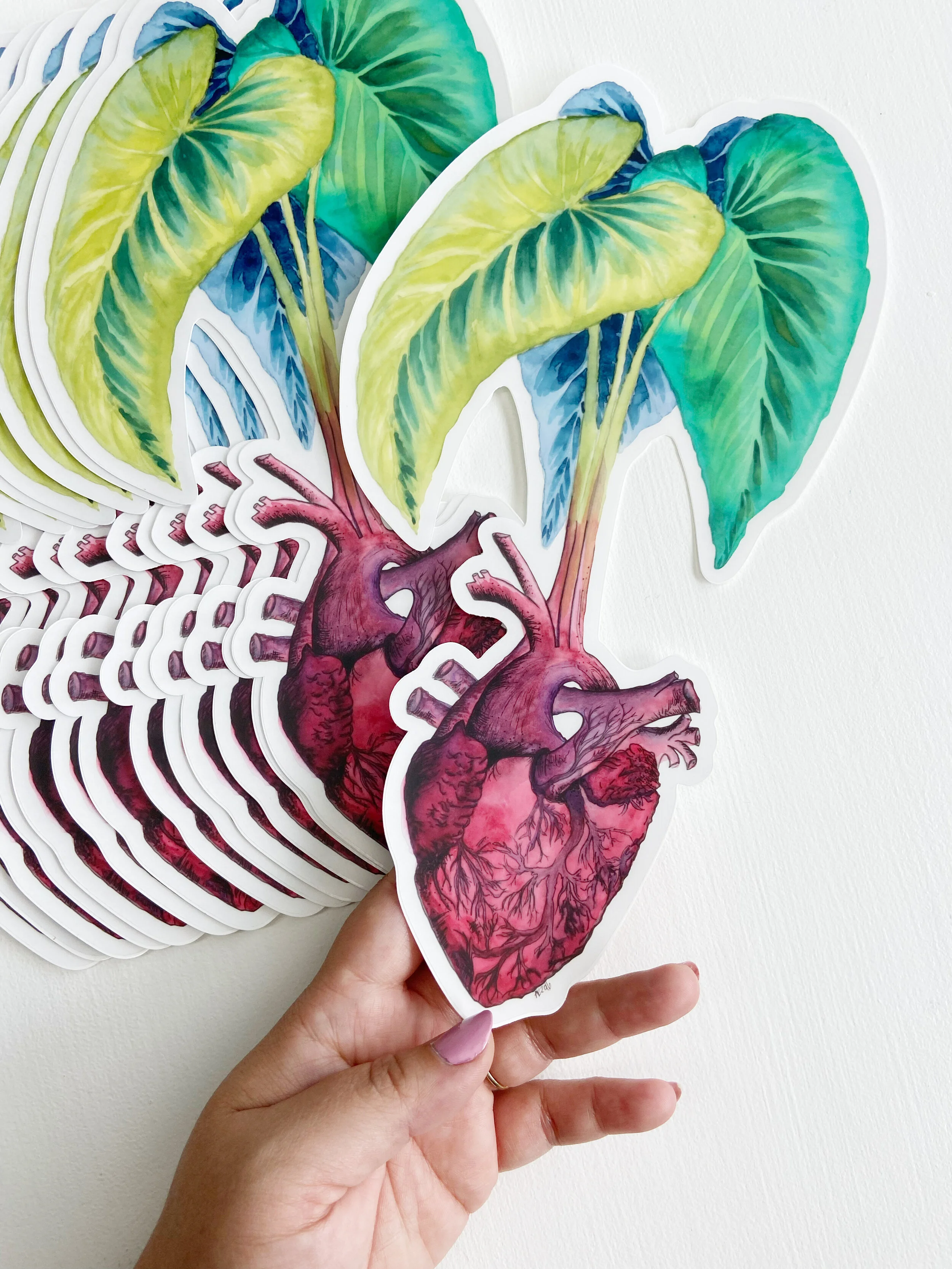 AfterlightImage 232.JPG