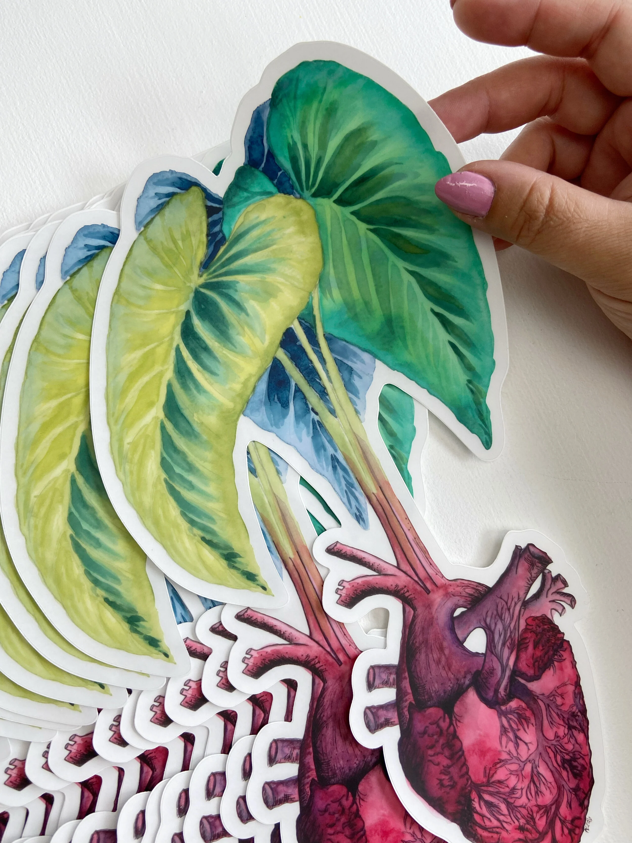 AfterlightImage 233.JPG