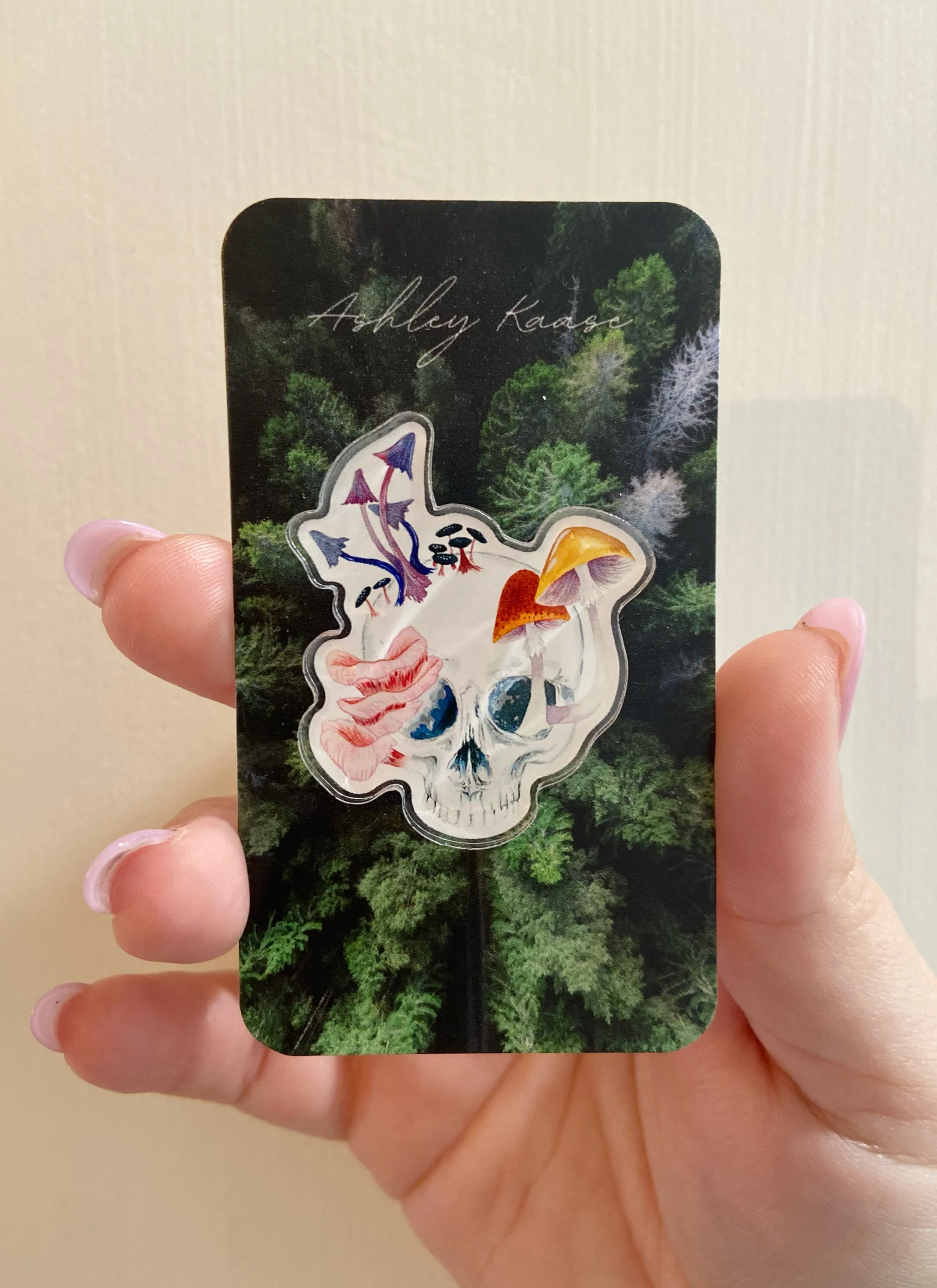 AfterlightImage 368.JPG