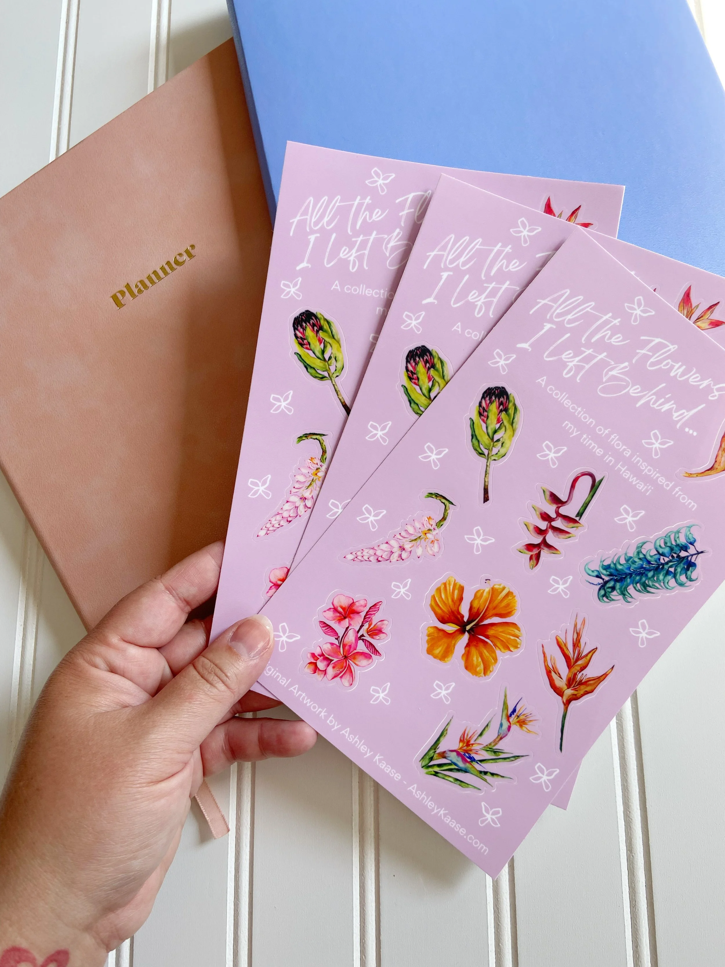 AfterlightImage 373.JPG