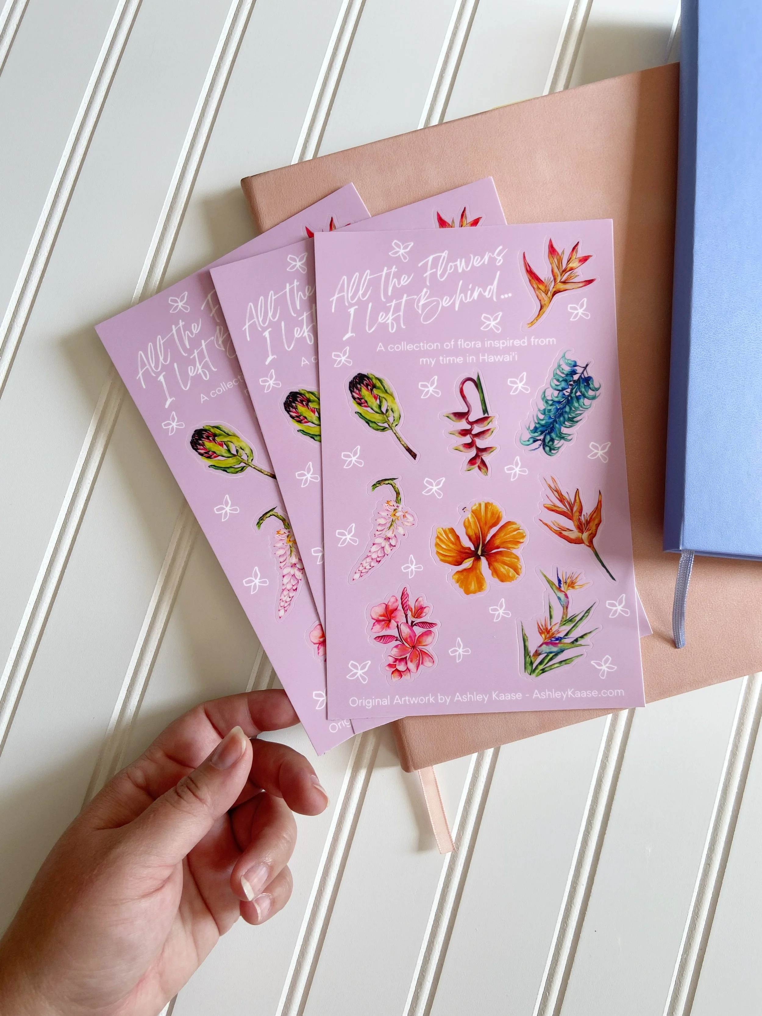 AfterlightImage 374.JPG