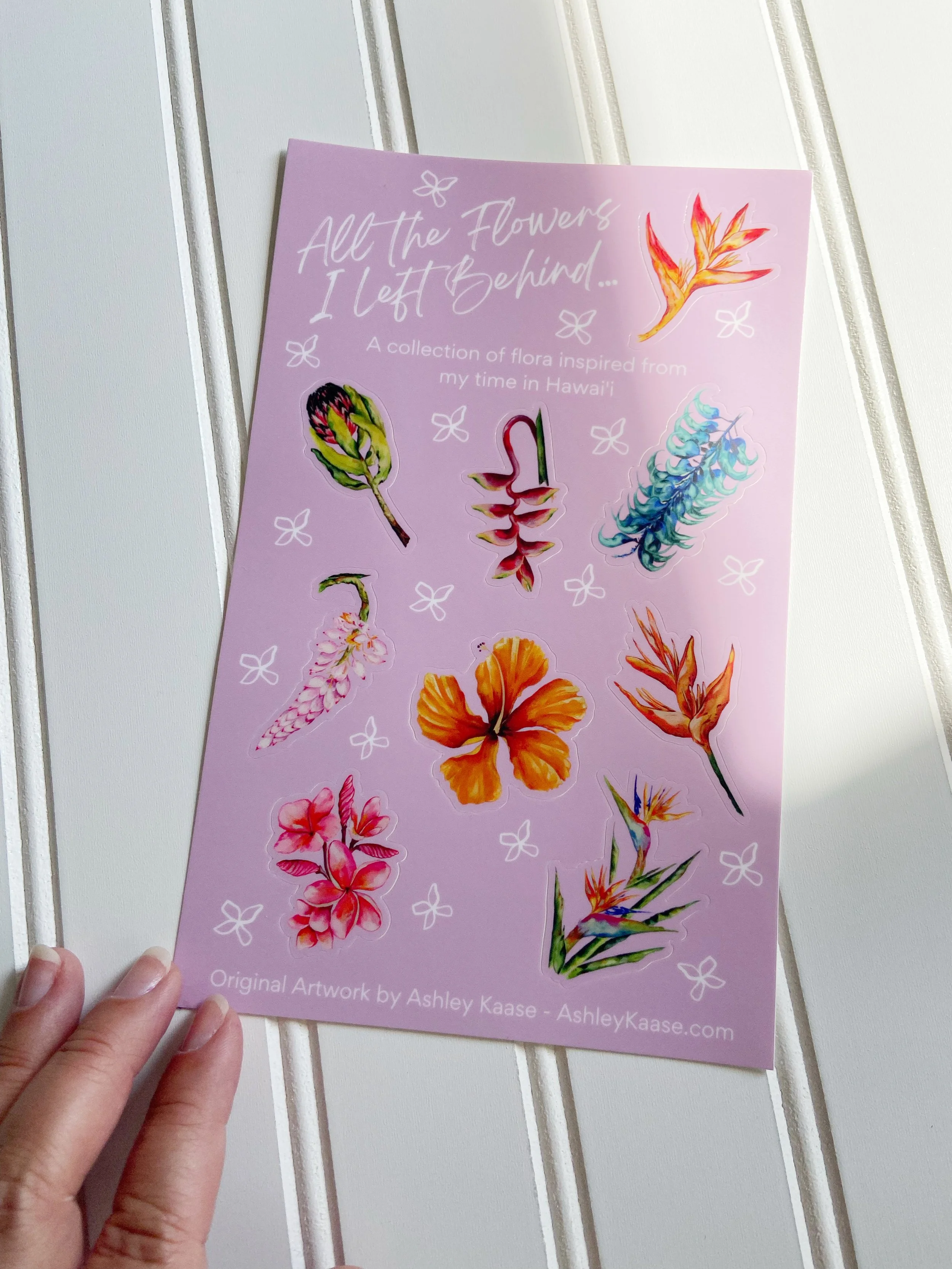 AfterlightImage 370.JPG