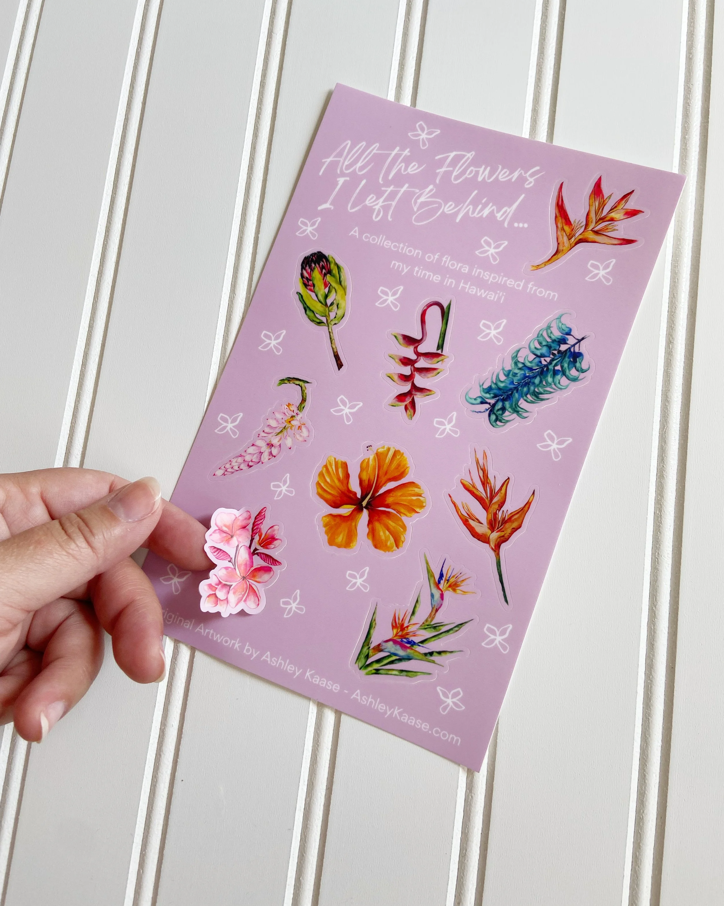 AfterlightImage 375.JPG