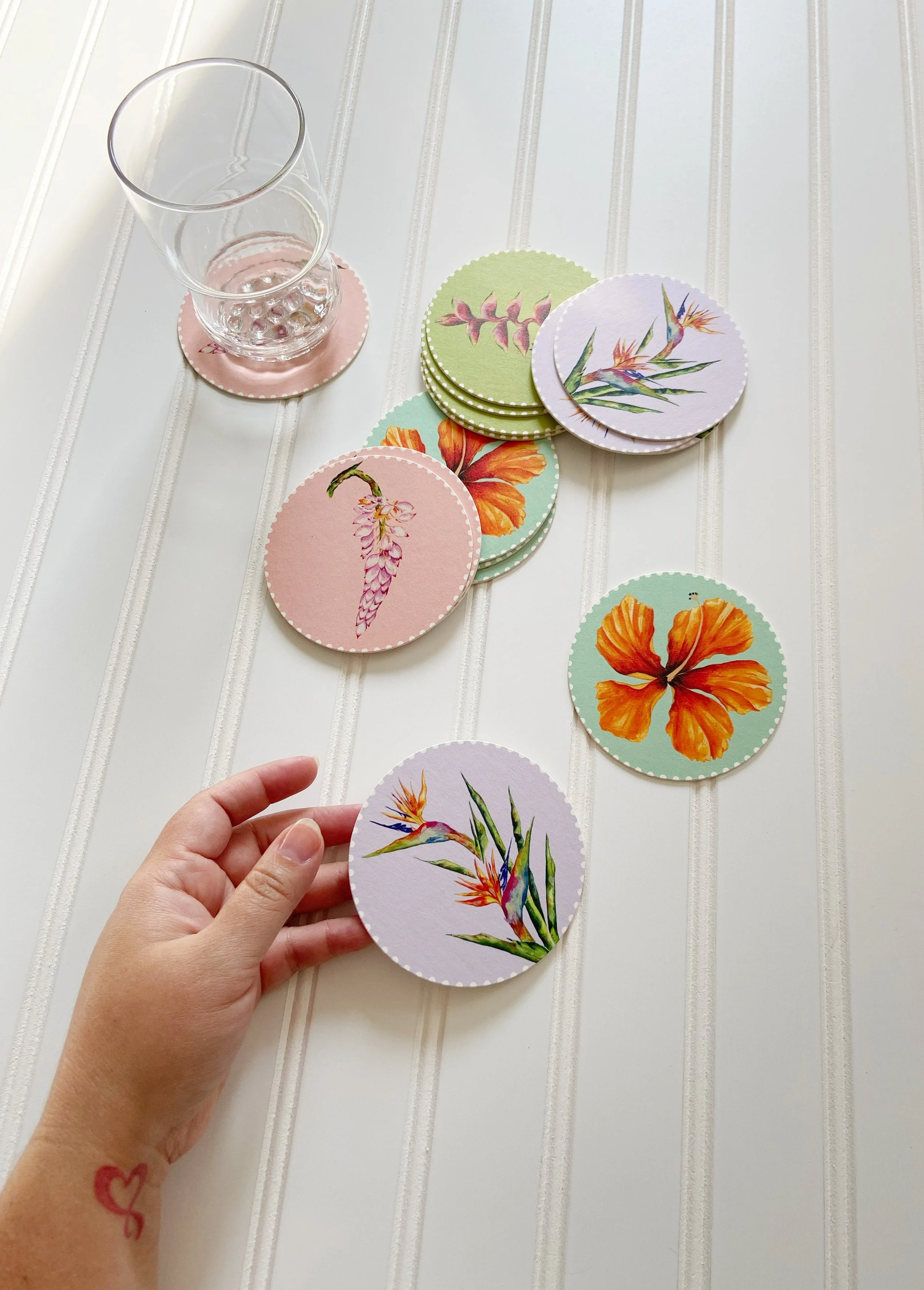 AfterlightImage 384.JPG