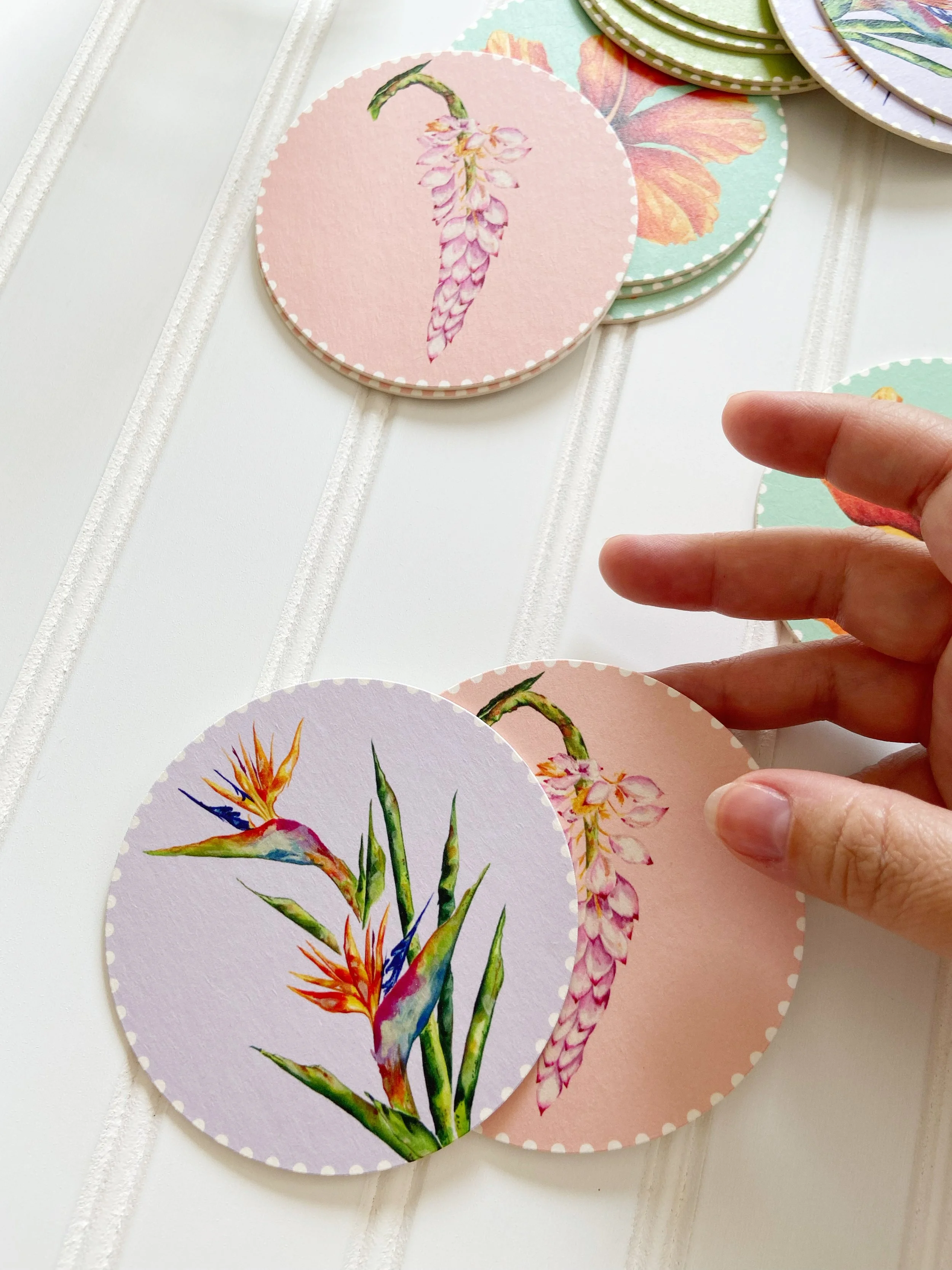 AfterlightImage 383.JPG