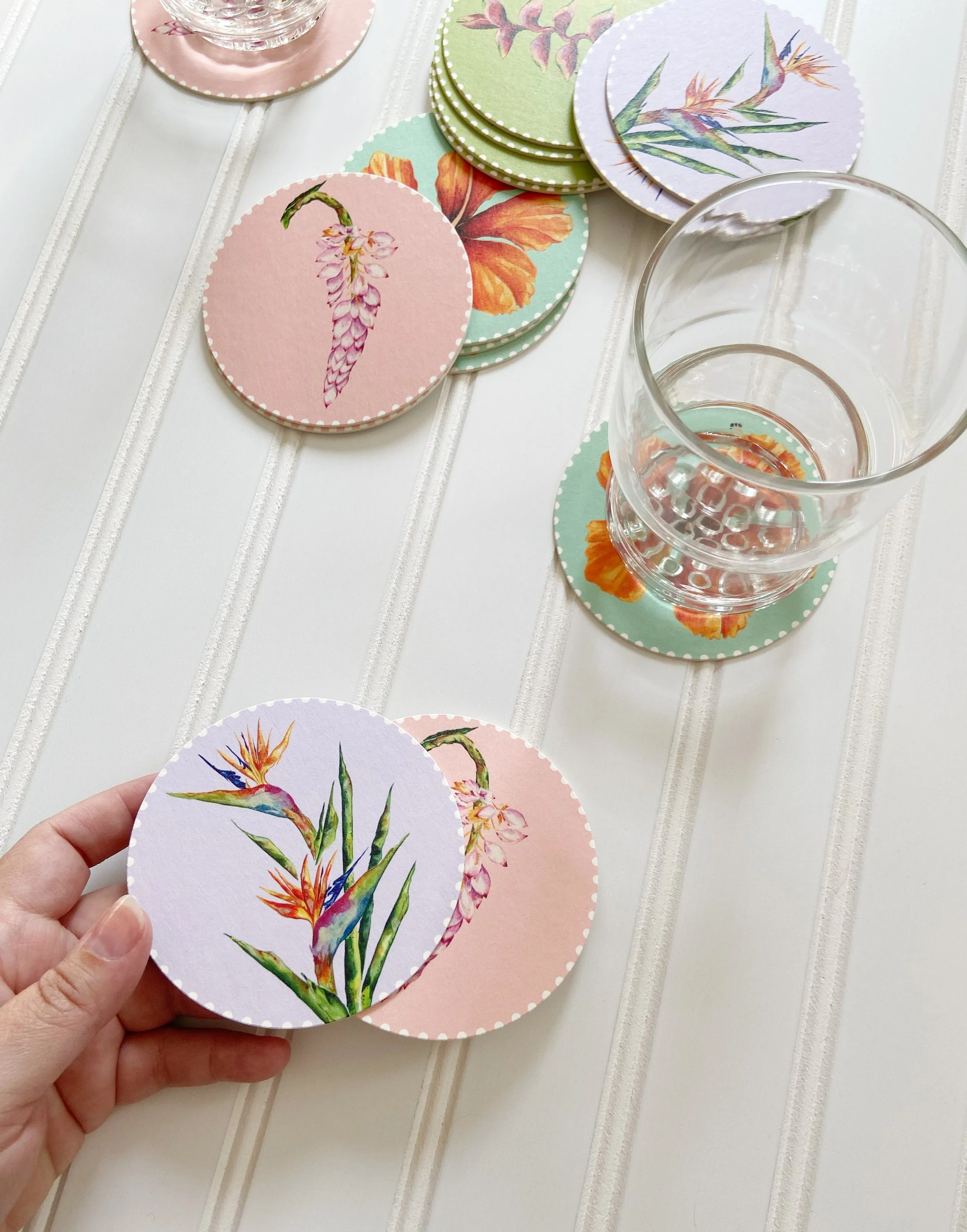 AfterlightImage 390.JPG