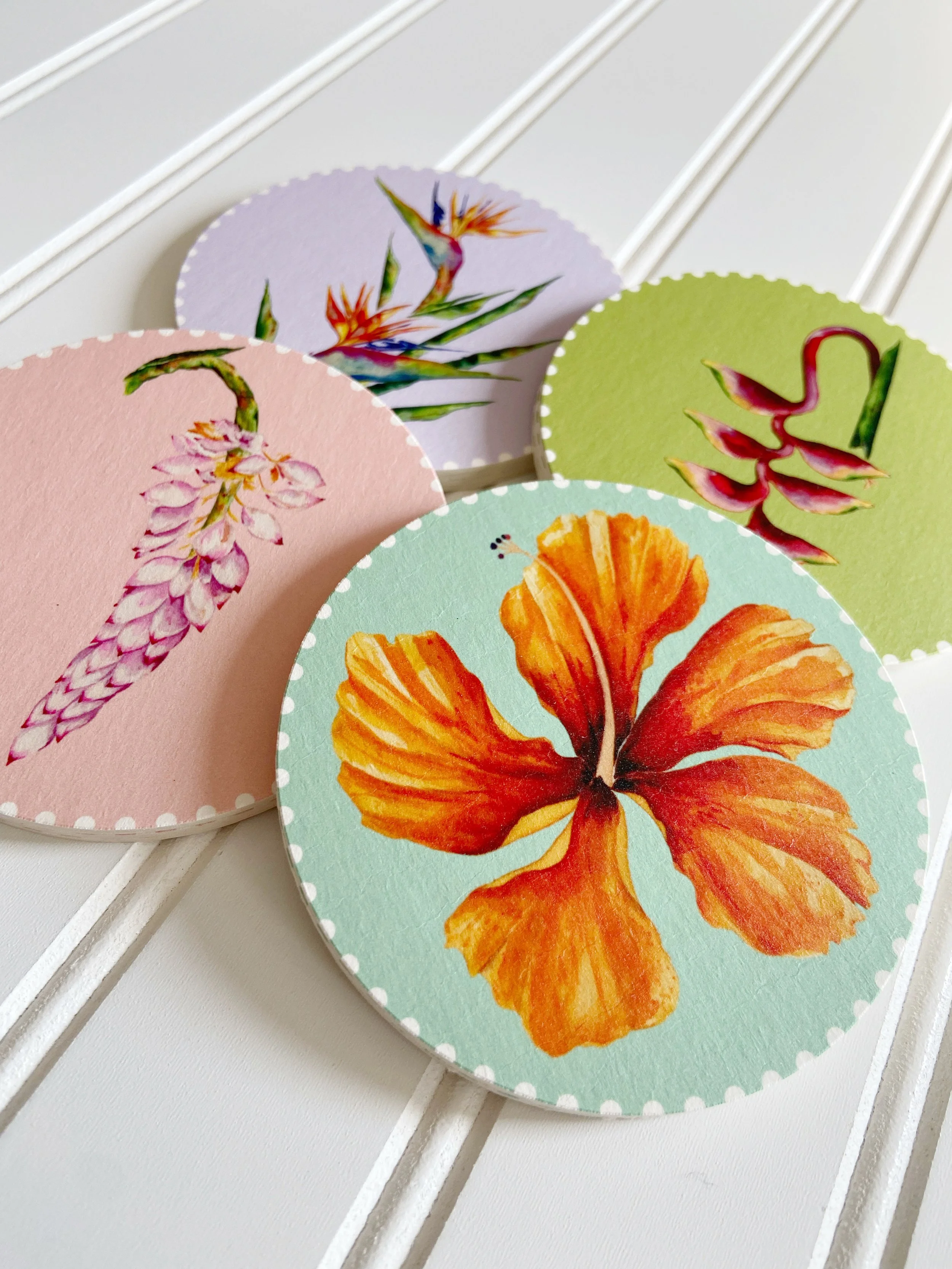 AfterlightImage 382.JPG