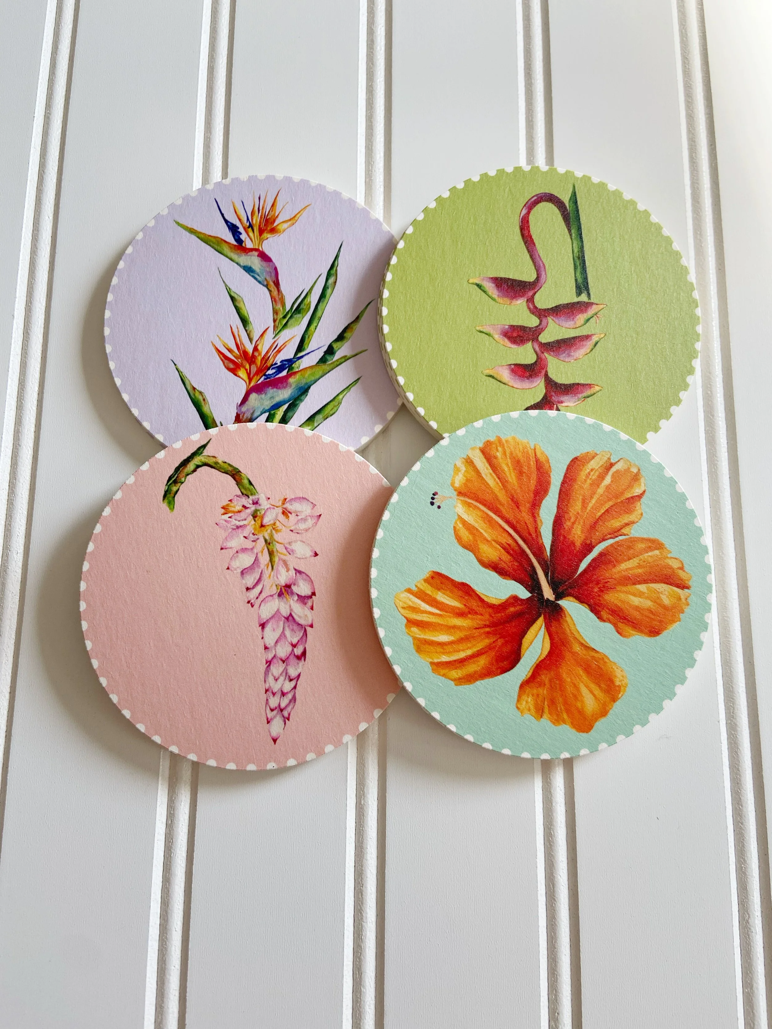 AfterlightImage 381.JPG