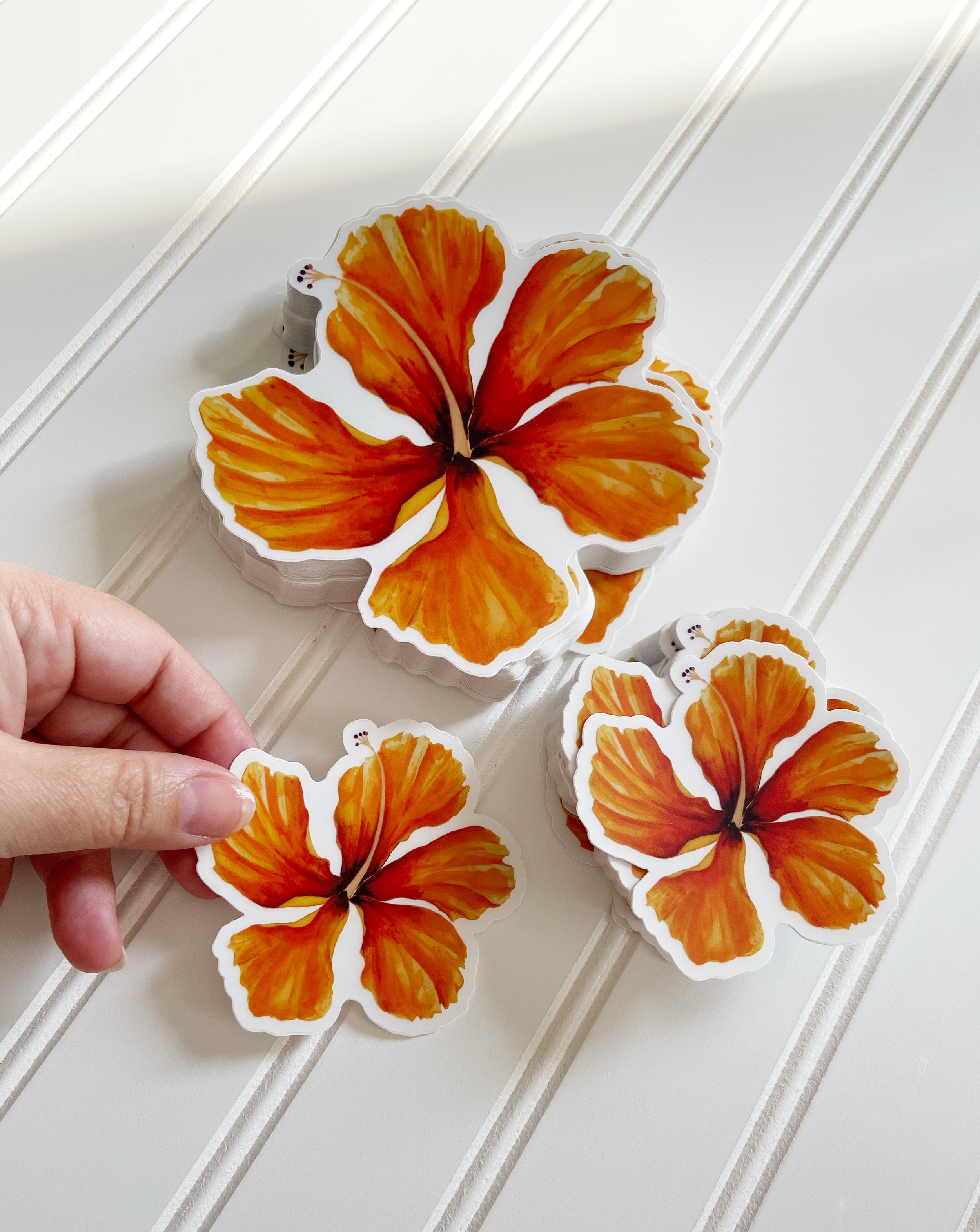 AfterlightImage 401.JPG