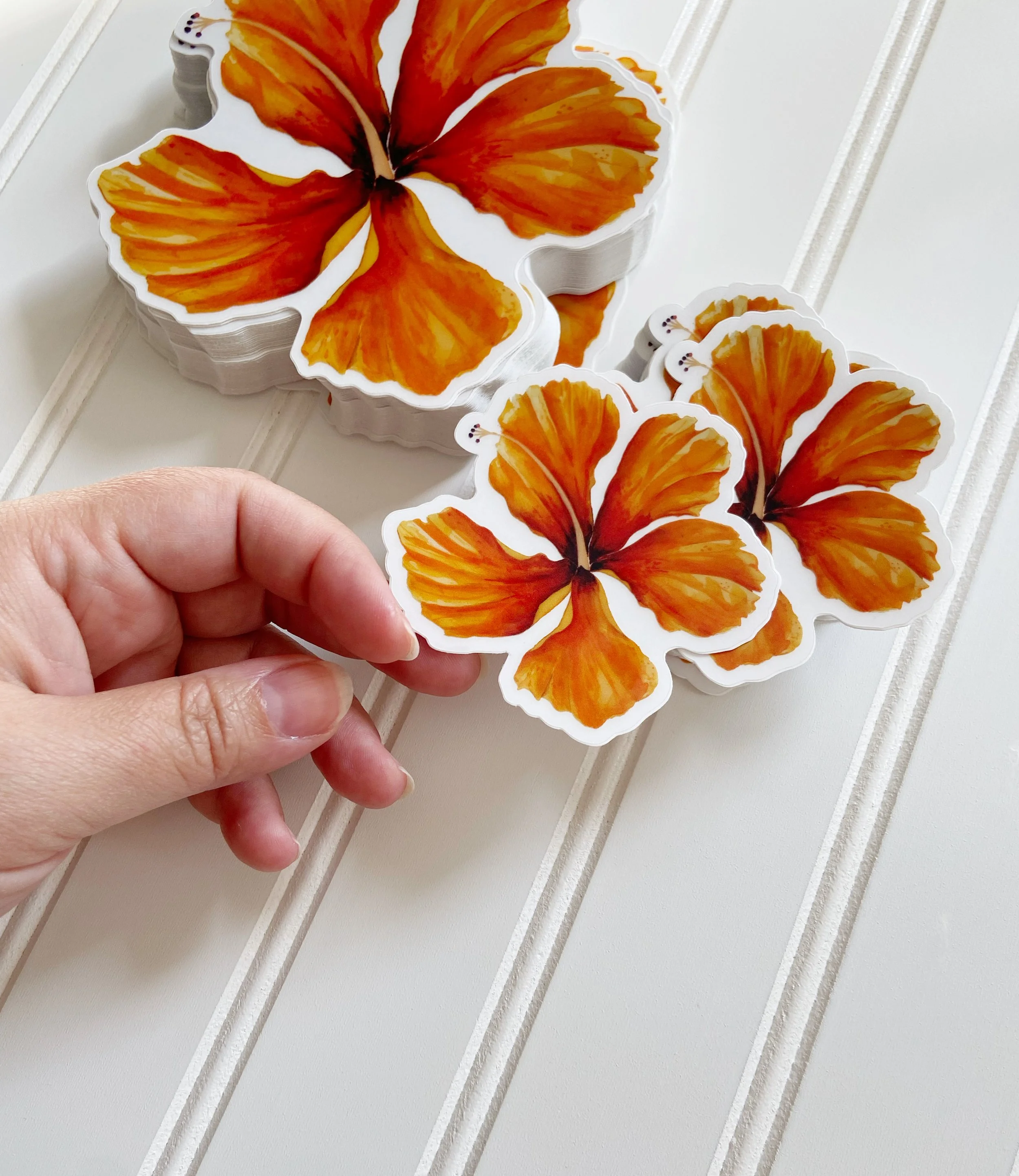 AfterlightImage 393.JPG