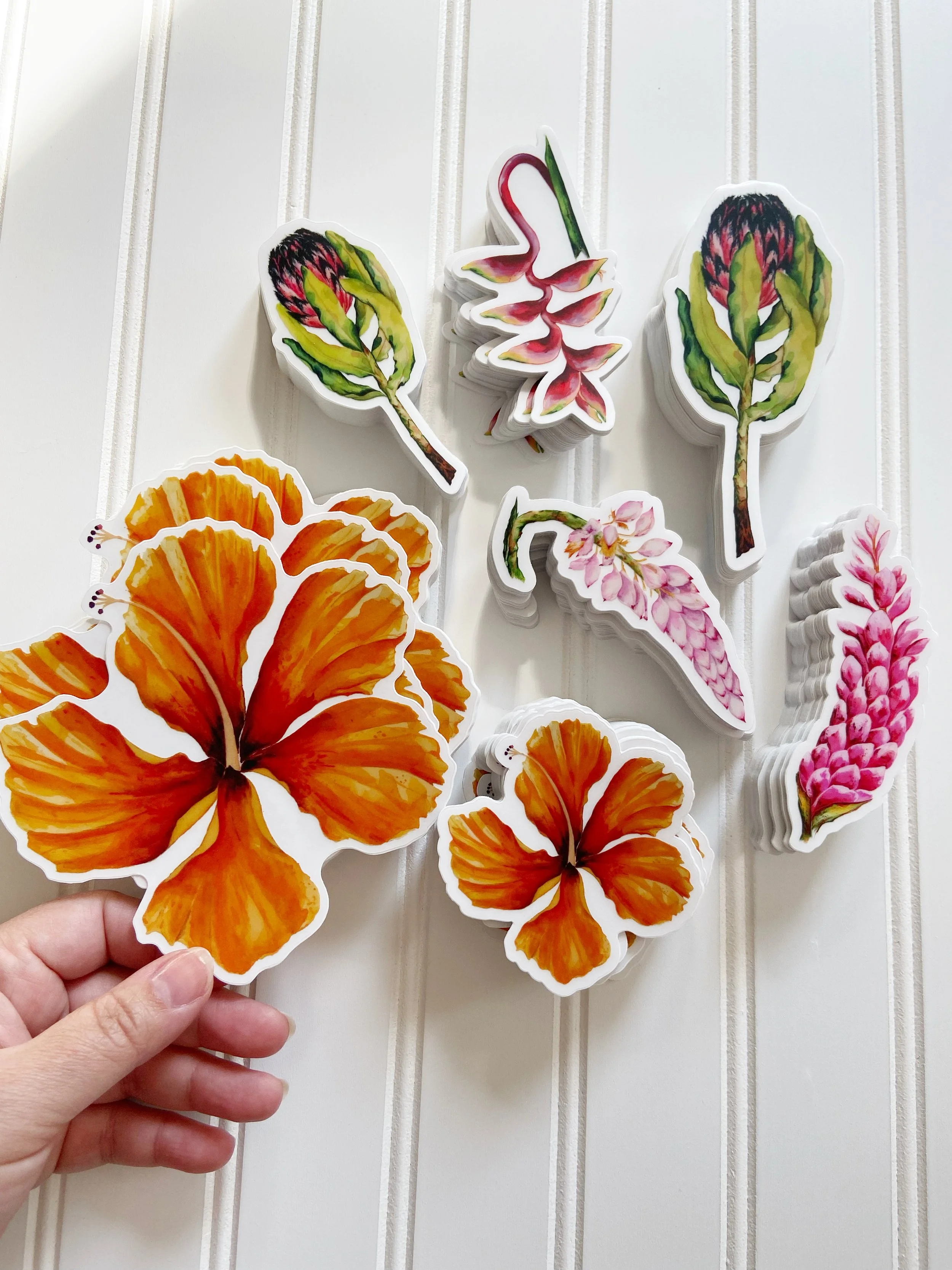 AfterlightImage 394.JPG