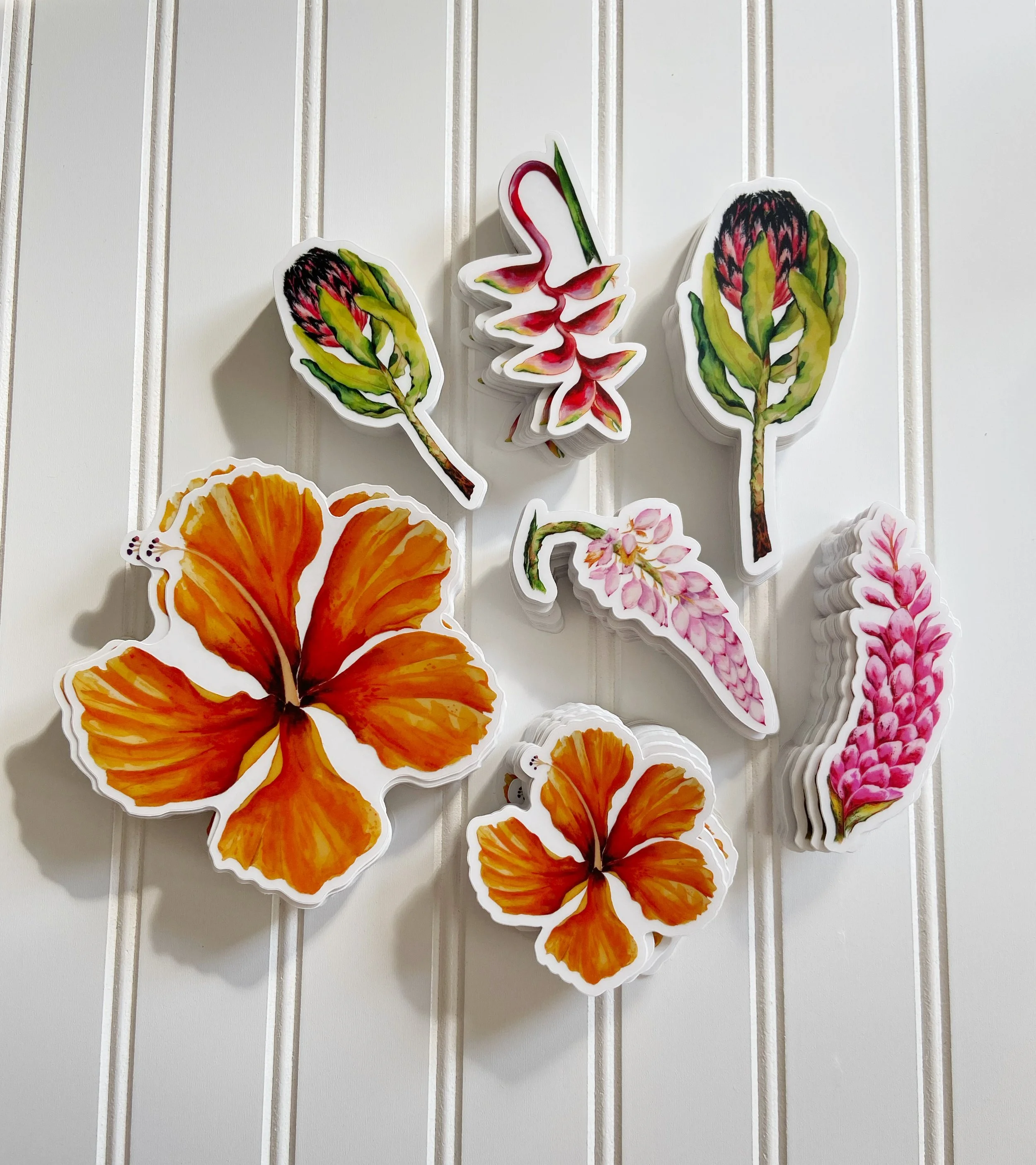 AfterlightImage 398.JPG