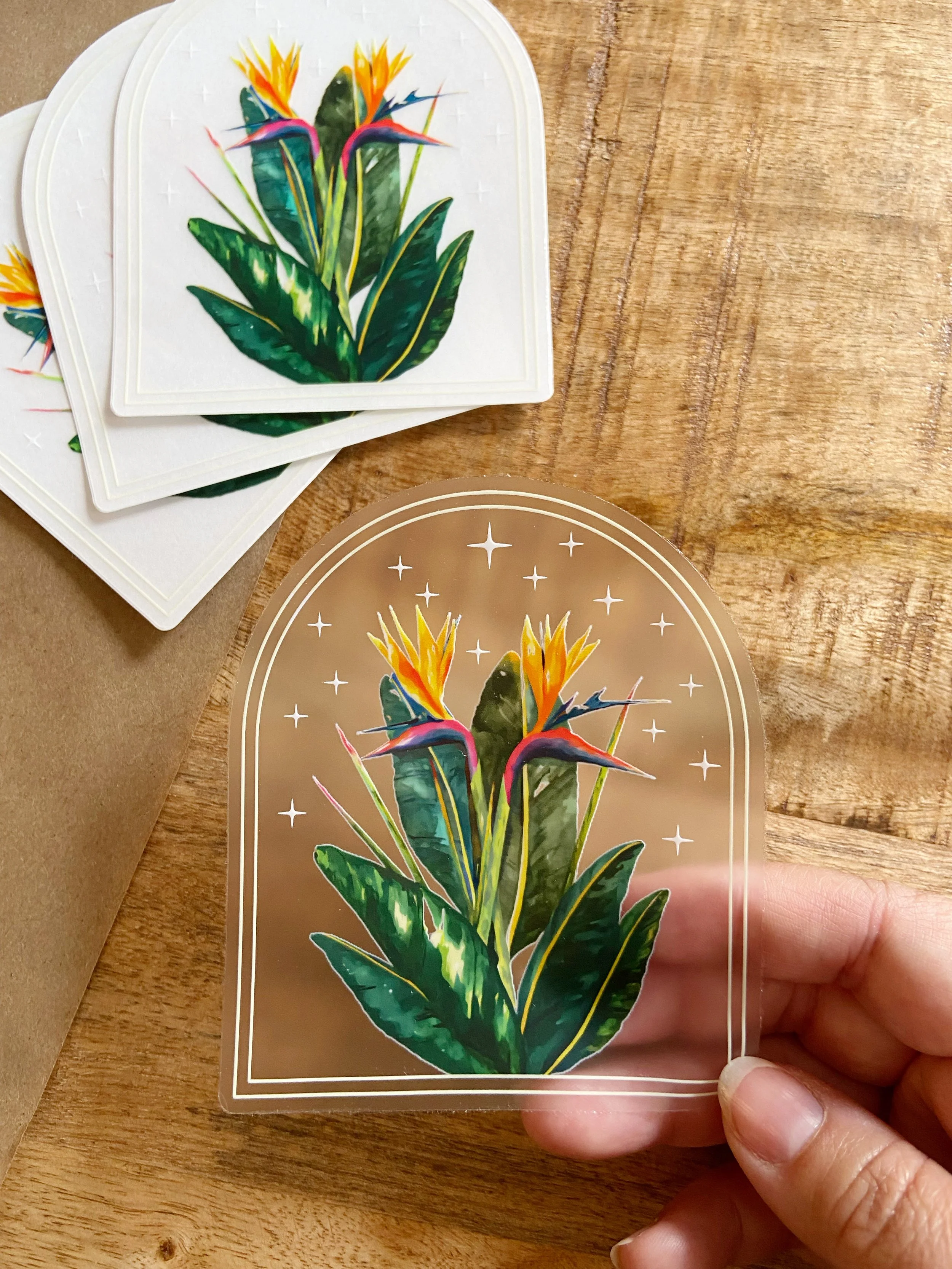 AfterlightImage 406.JPG