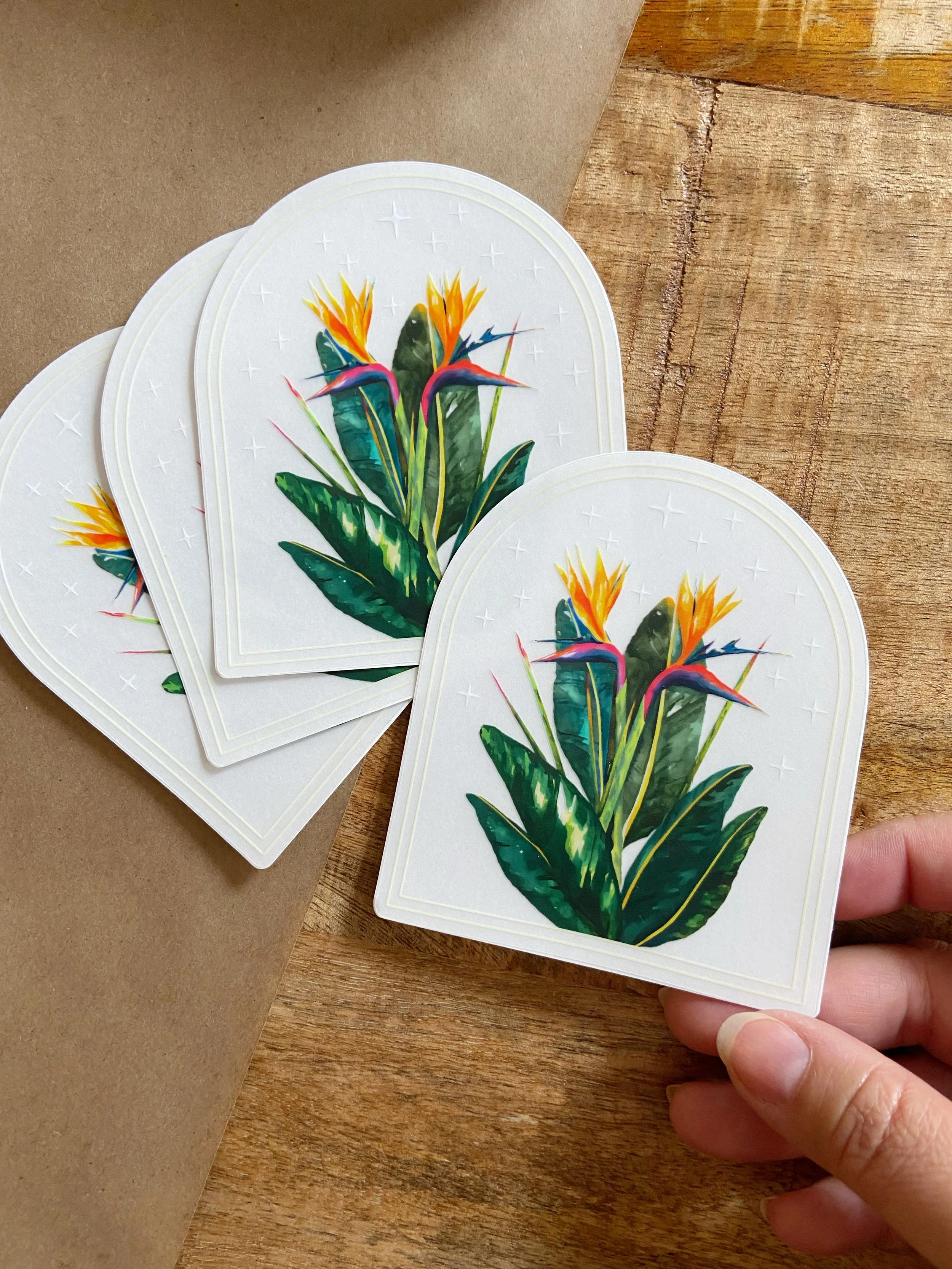 AfterlightImage 403.JPG