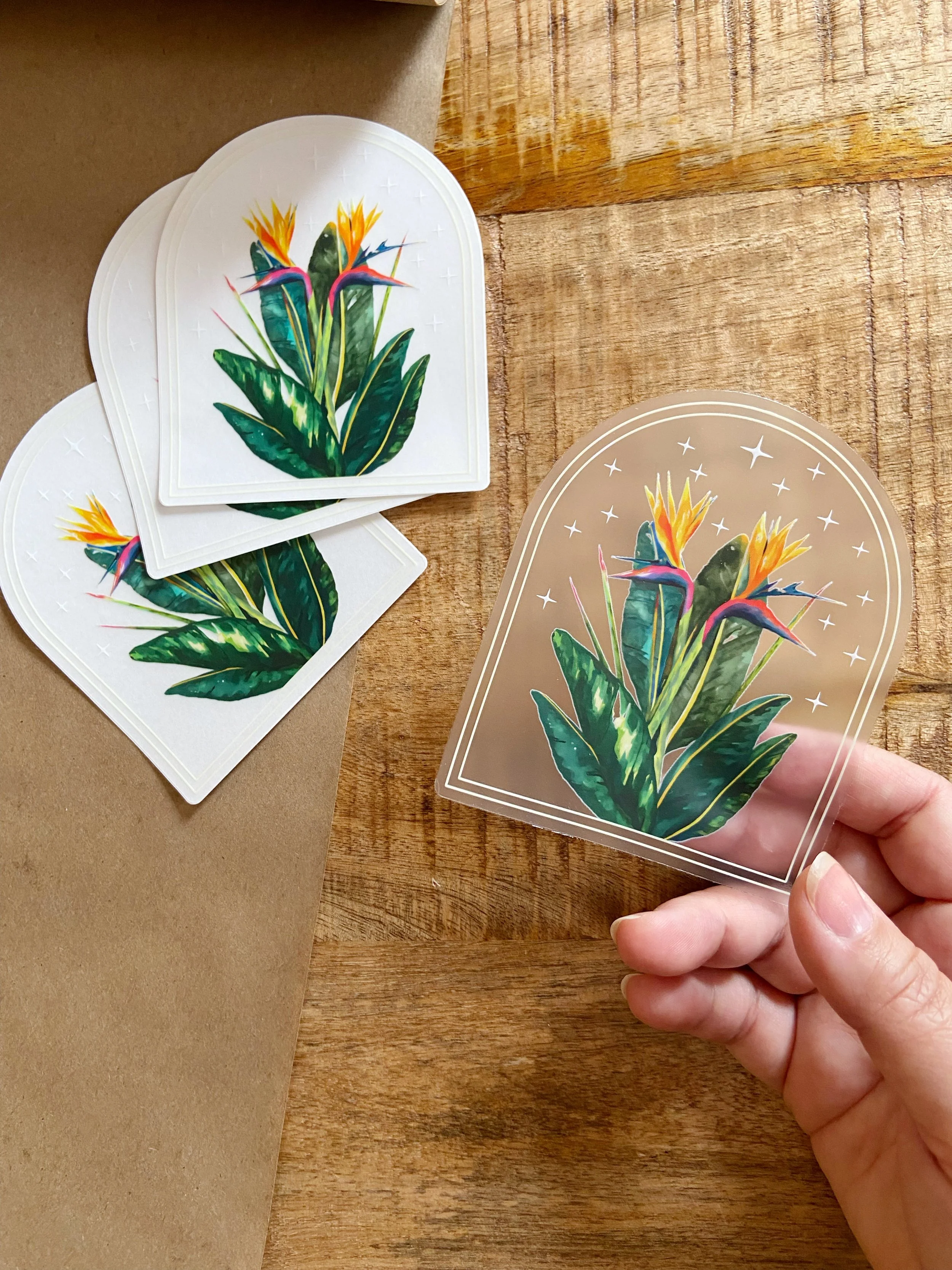 AfterlightImage 405.JPG