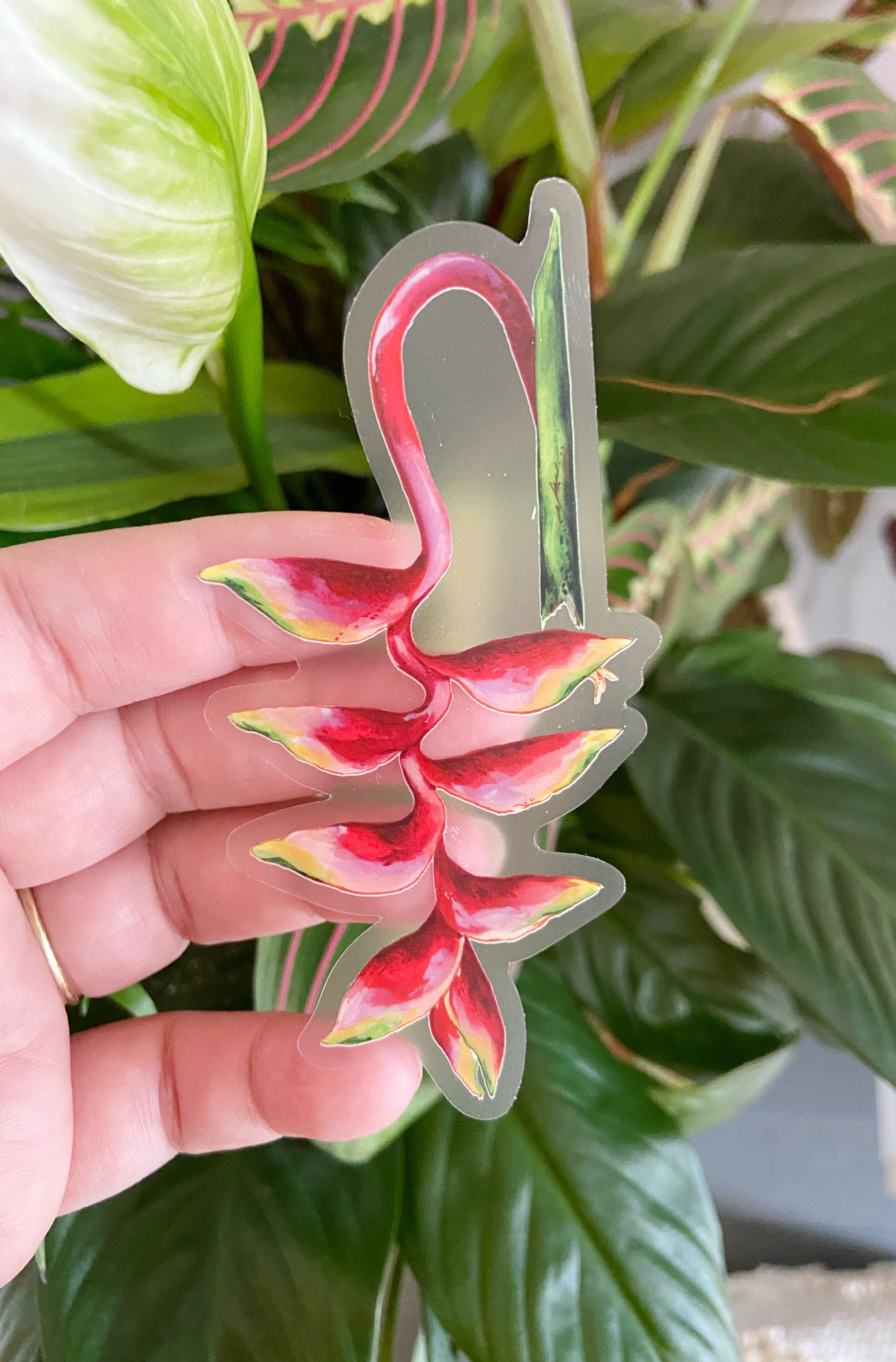 AfterlightImage 408.JPG