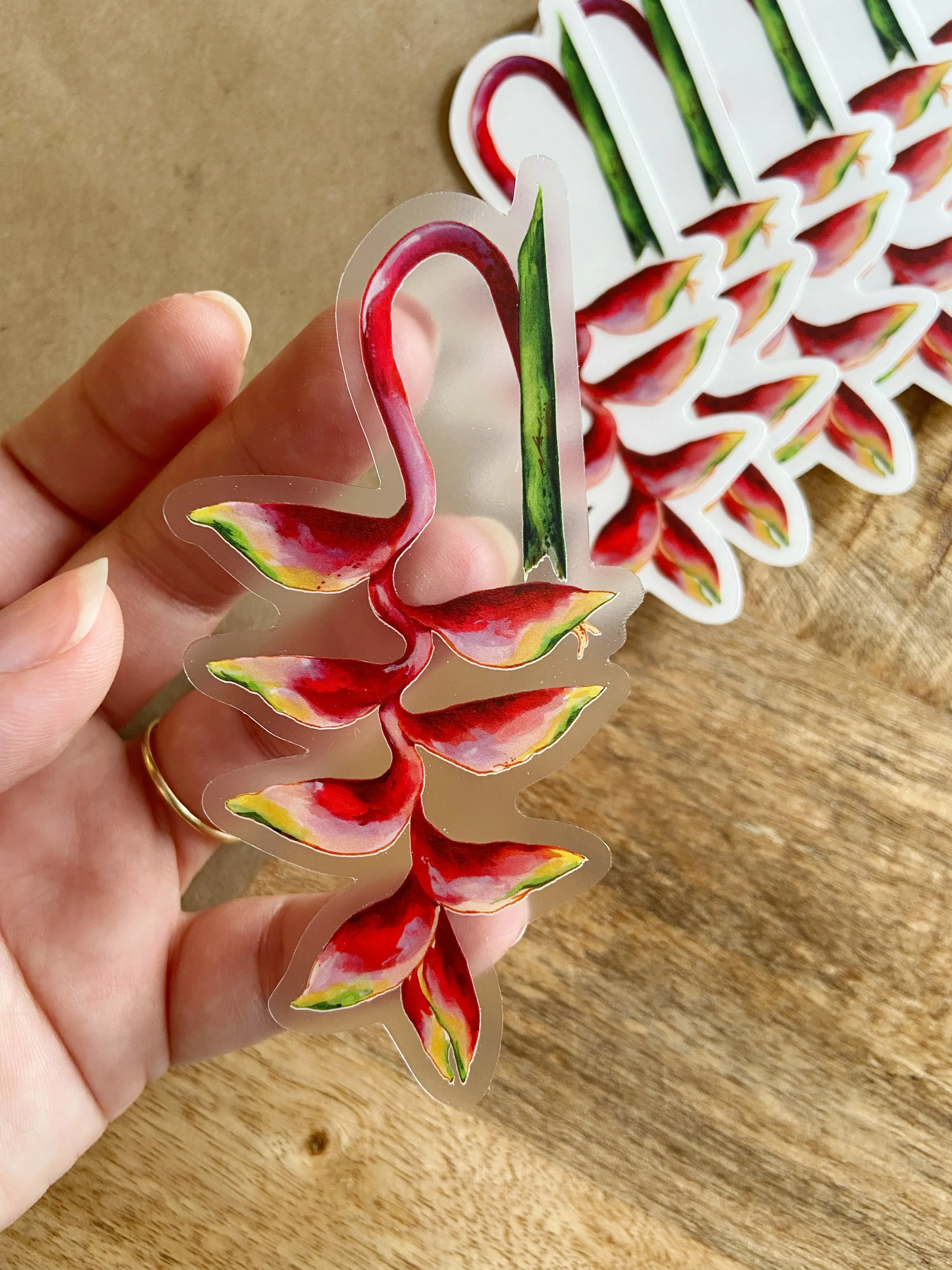 AfterlightImage 407.JPG