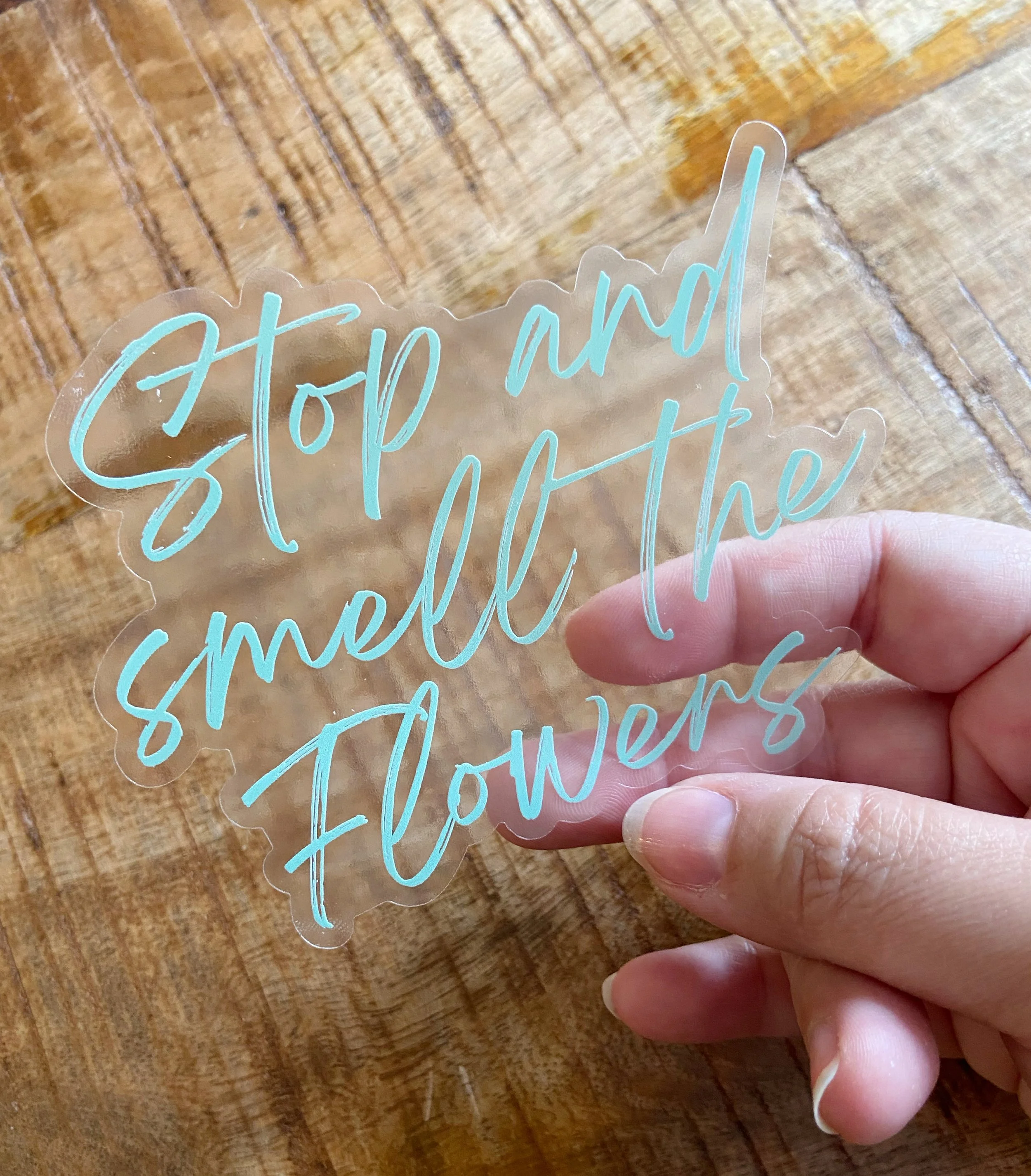 AfterlightImage 414.JPG