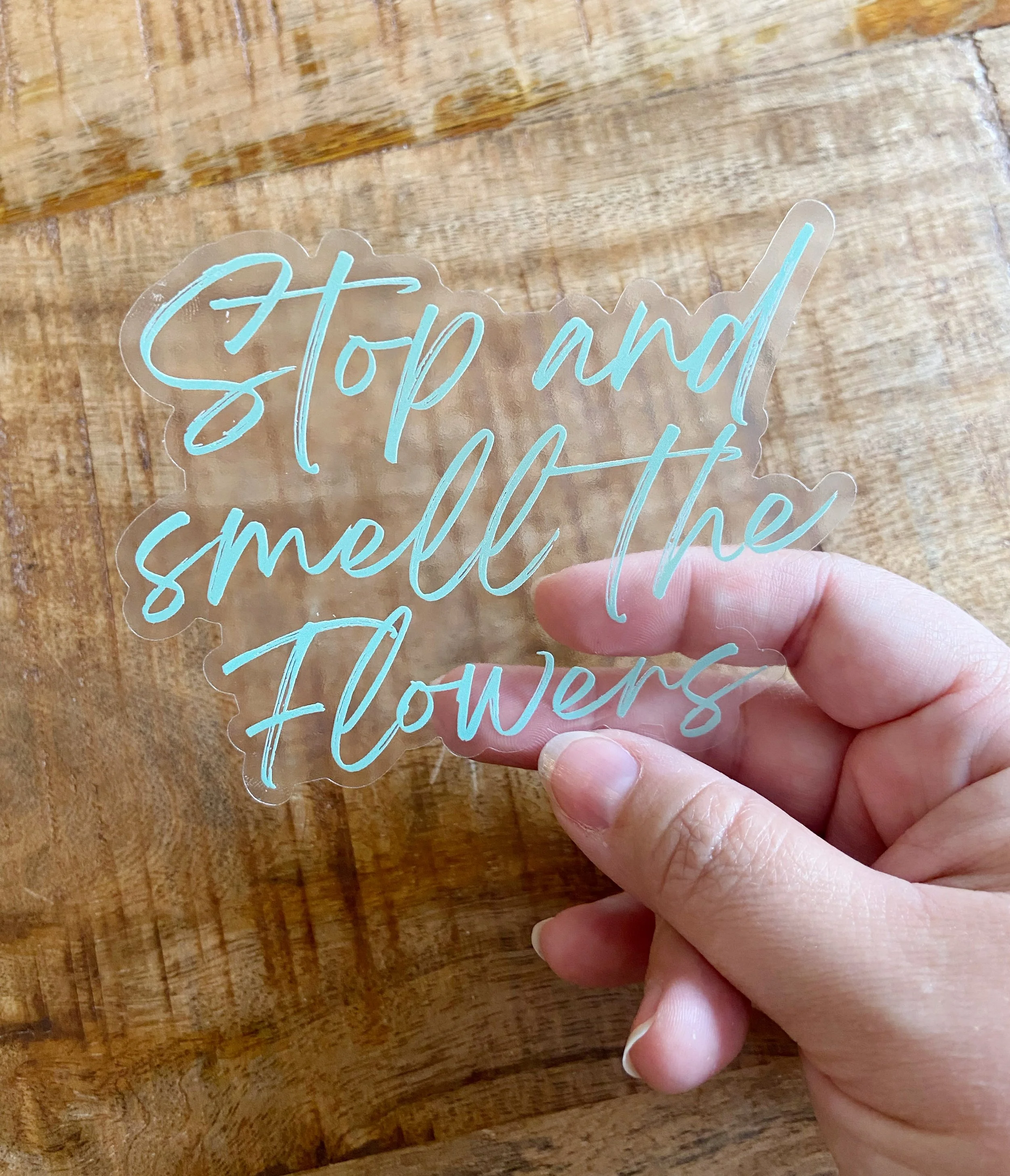 AfterlightImage 412.JPG