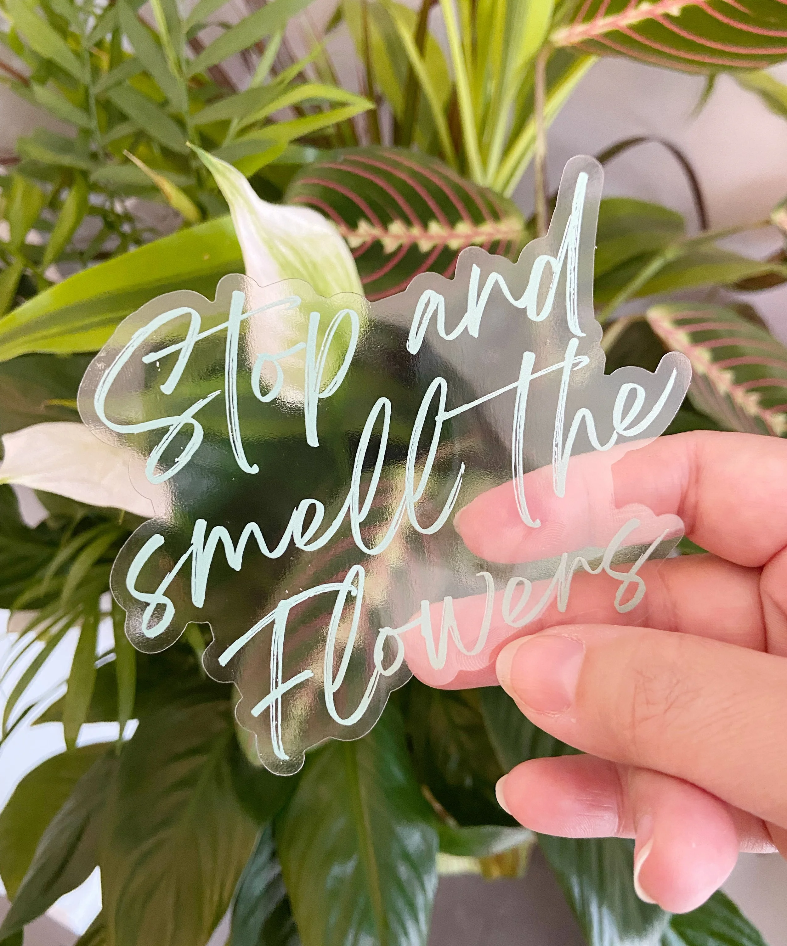 AfterlightImage 413.JPG