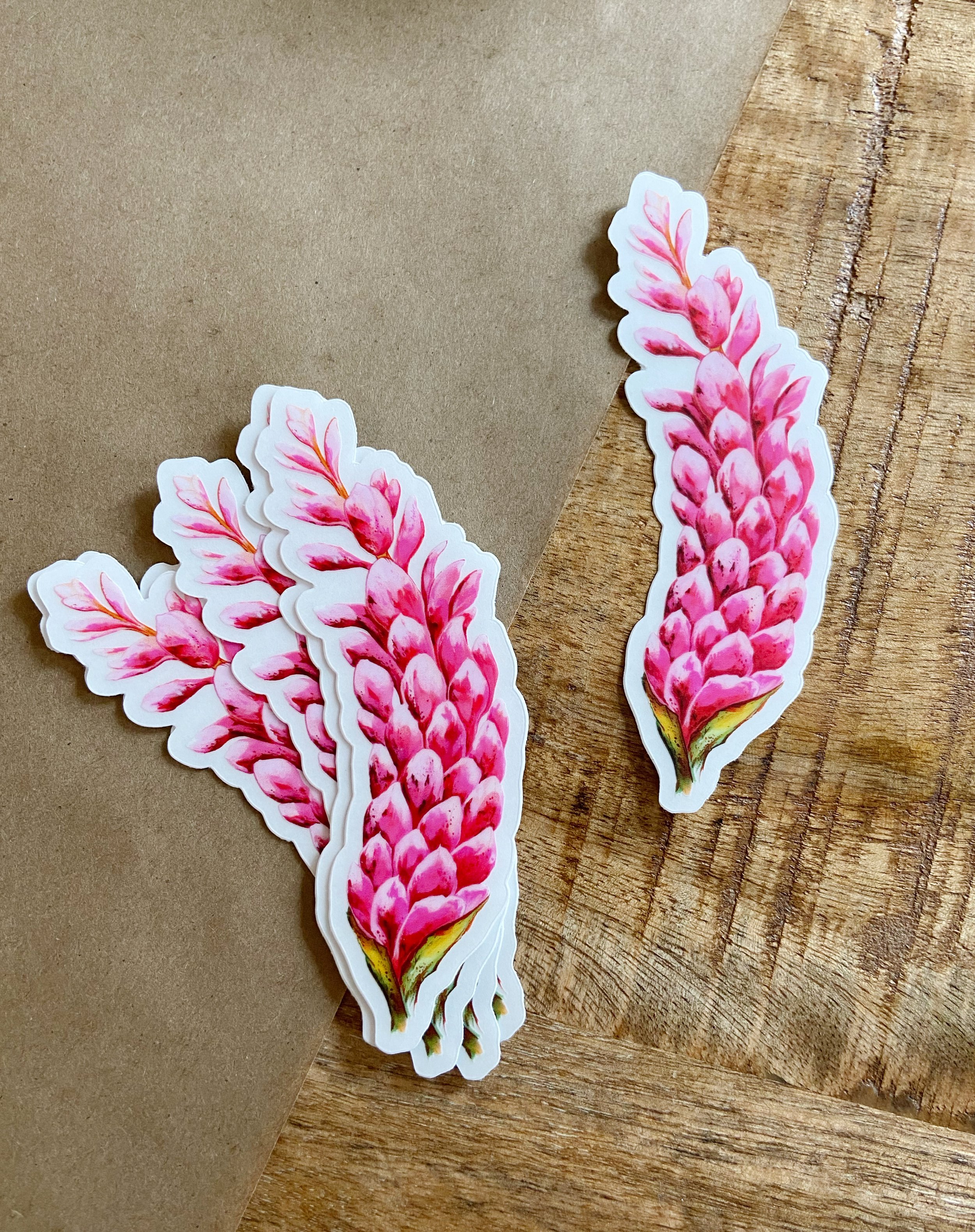 AfterlightImage 417.JPG