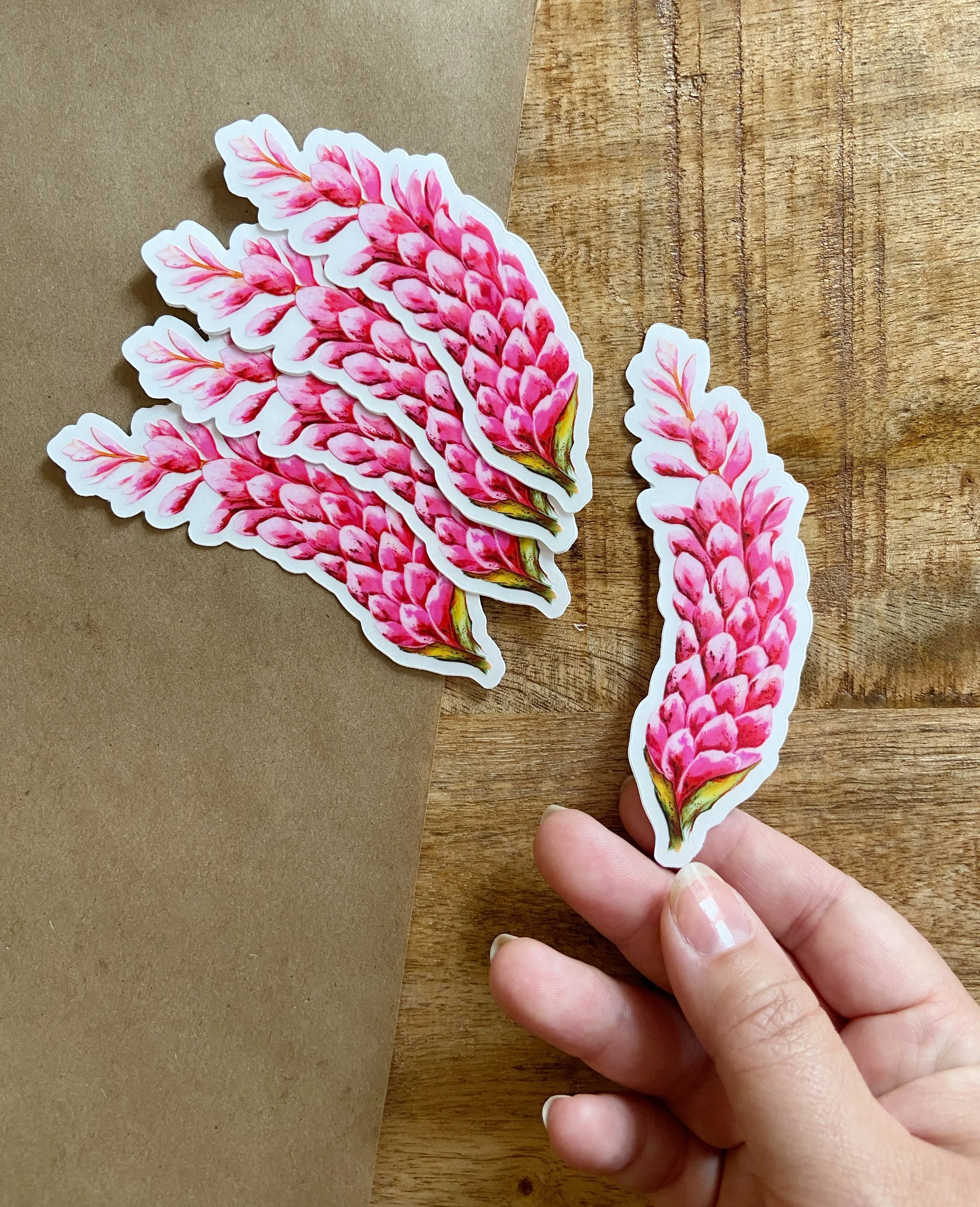 Pink Ginger Clear Sticker