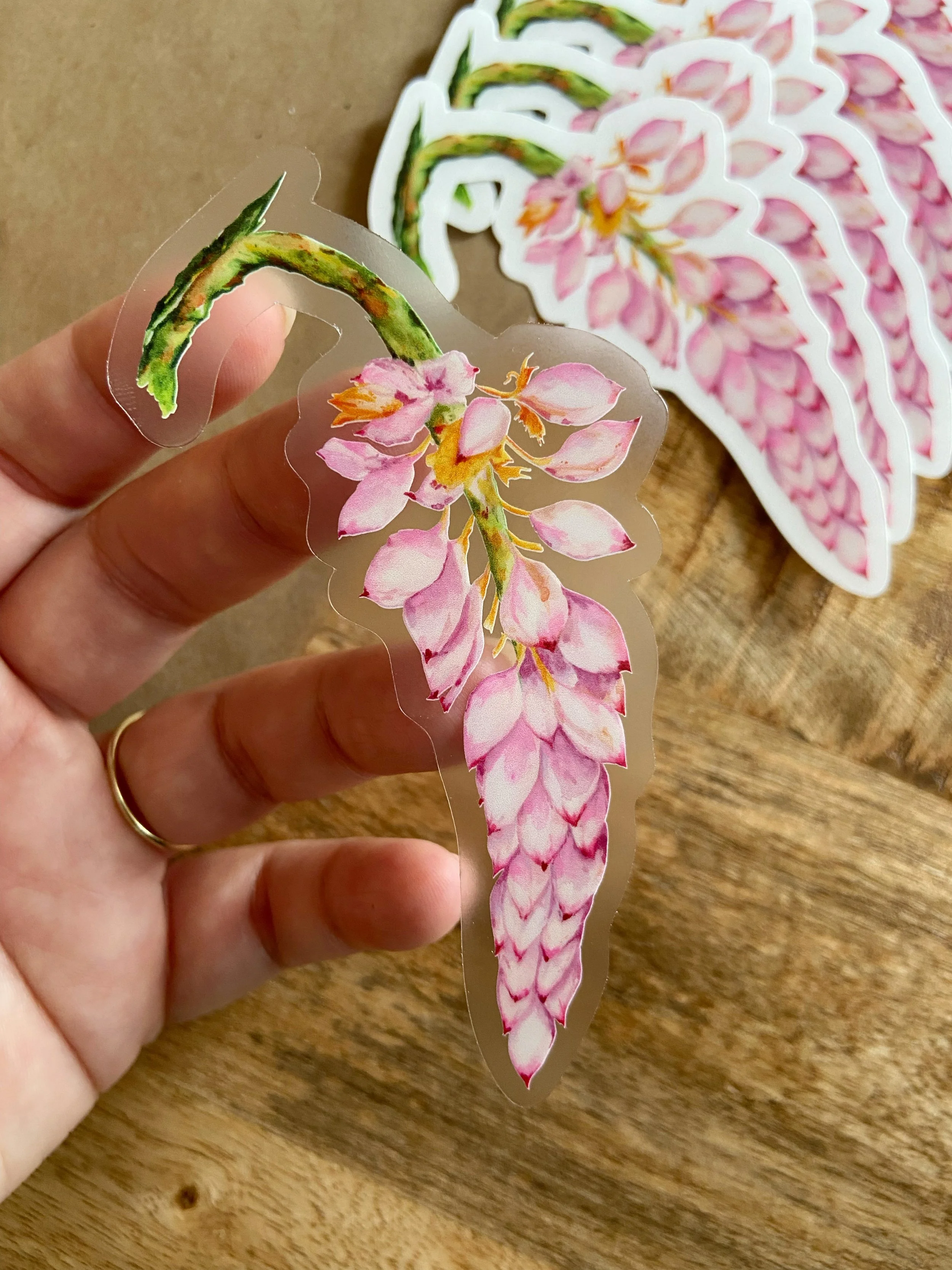 AfterlightImage 422.JPG