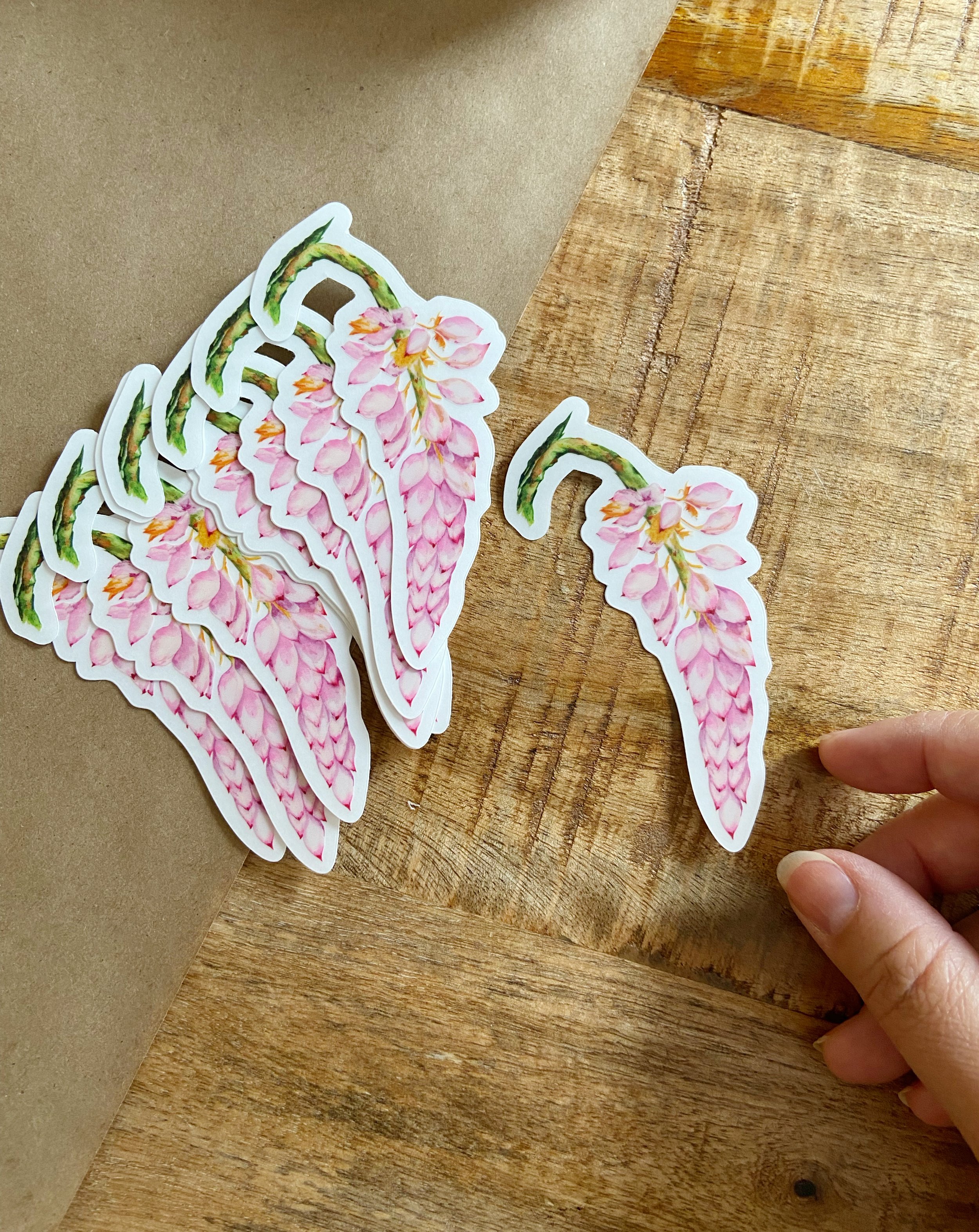 AfterlightImage 419.JPG