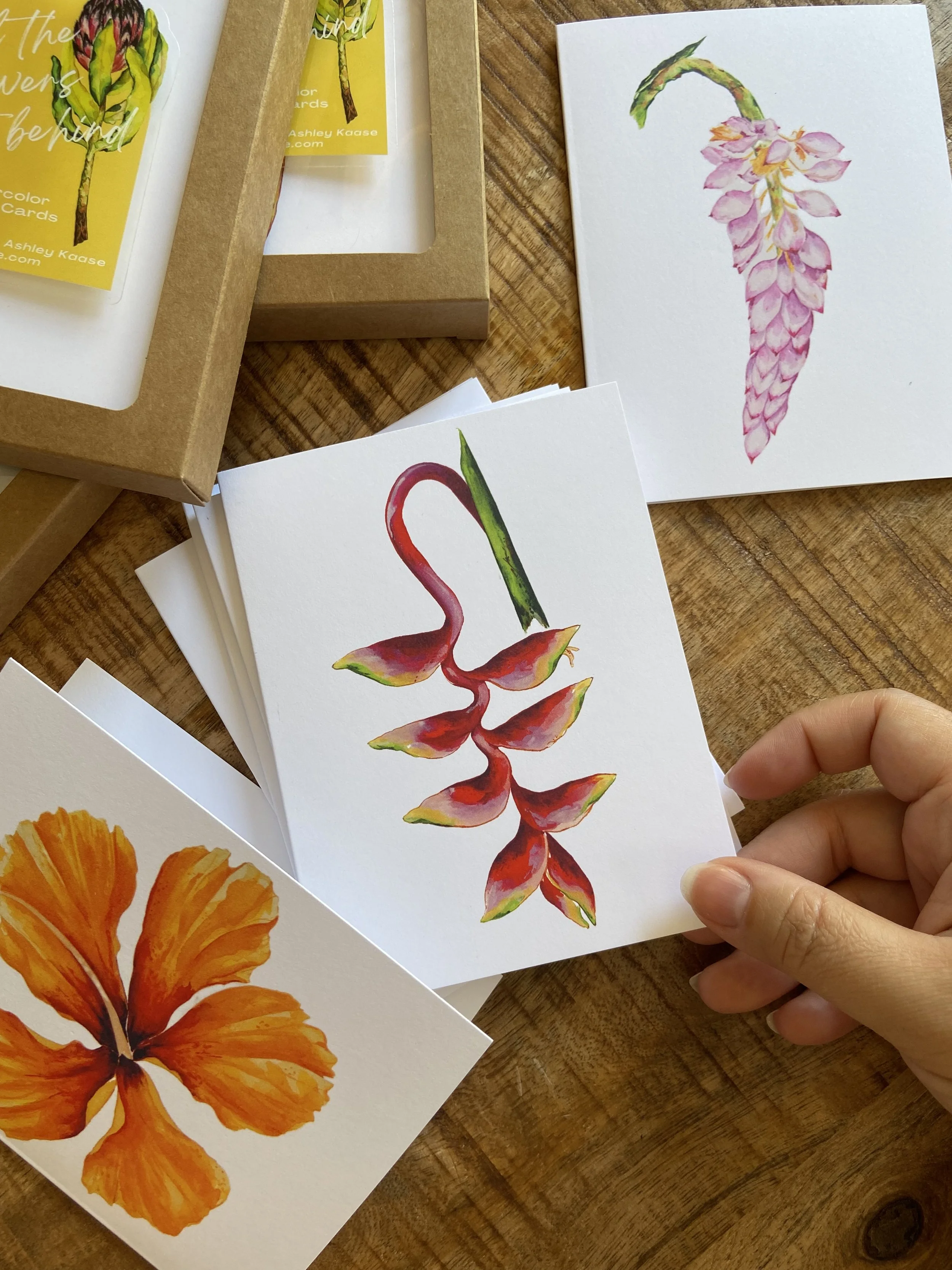 Lobster Claw Heliconia Card
