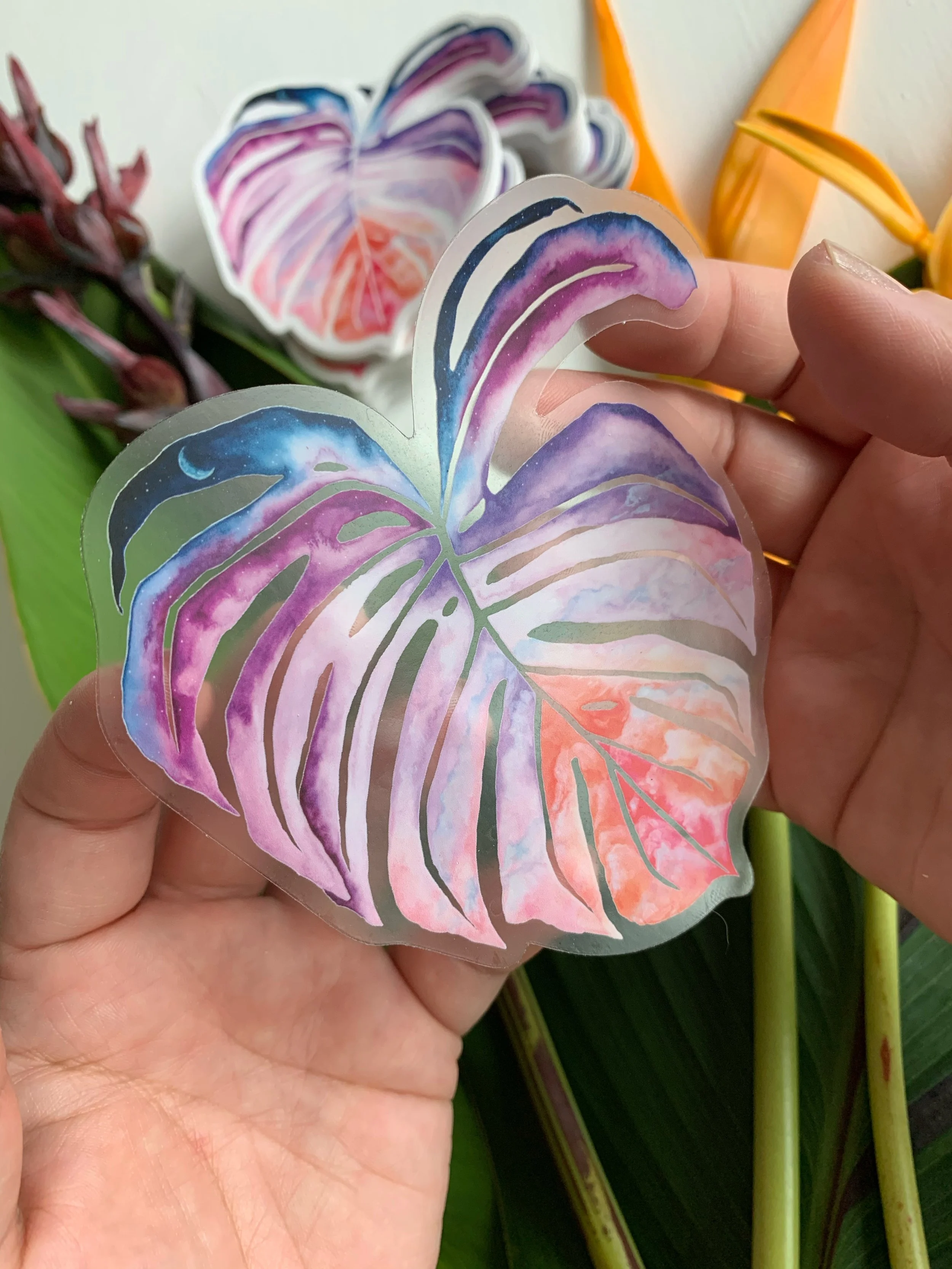 AfterlightImage 271.JPG