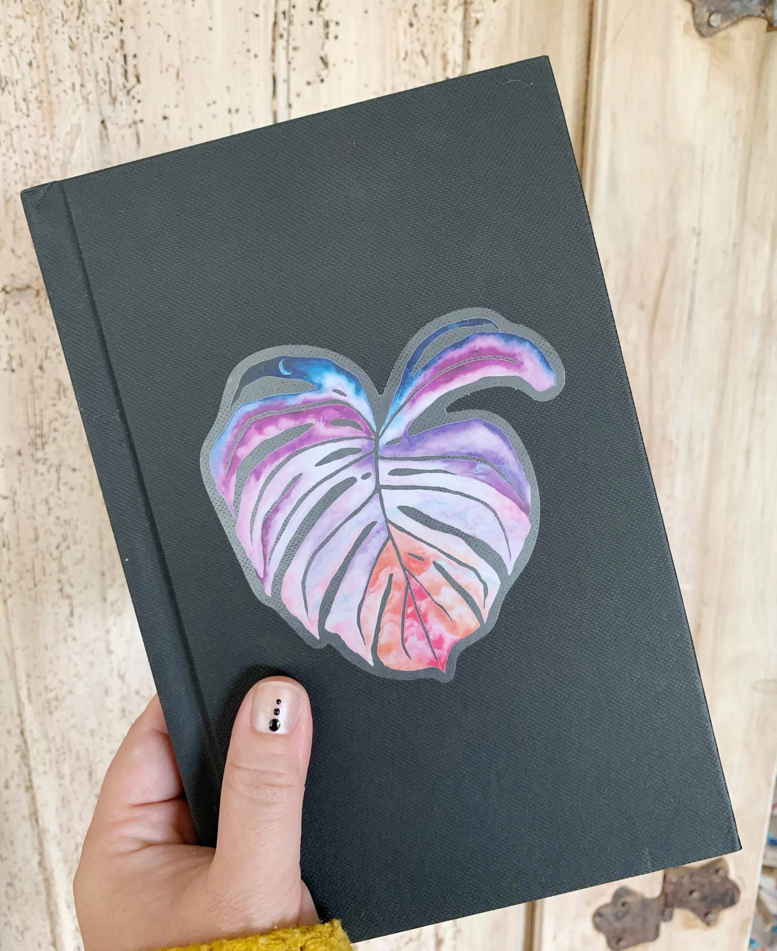 AfterlightImage 278.JPG