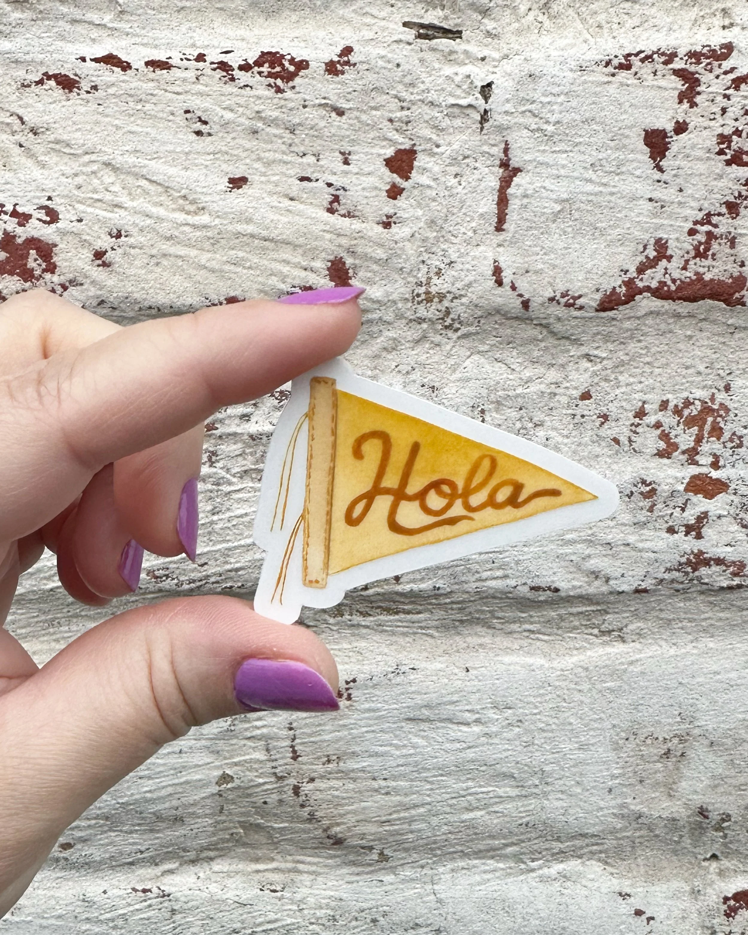 Tiny HOLA banner Sticker