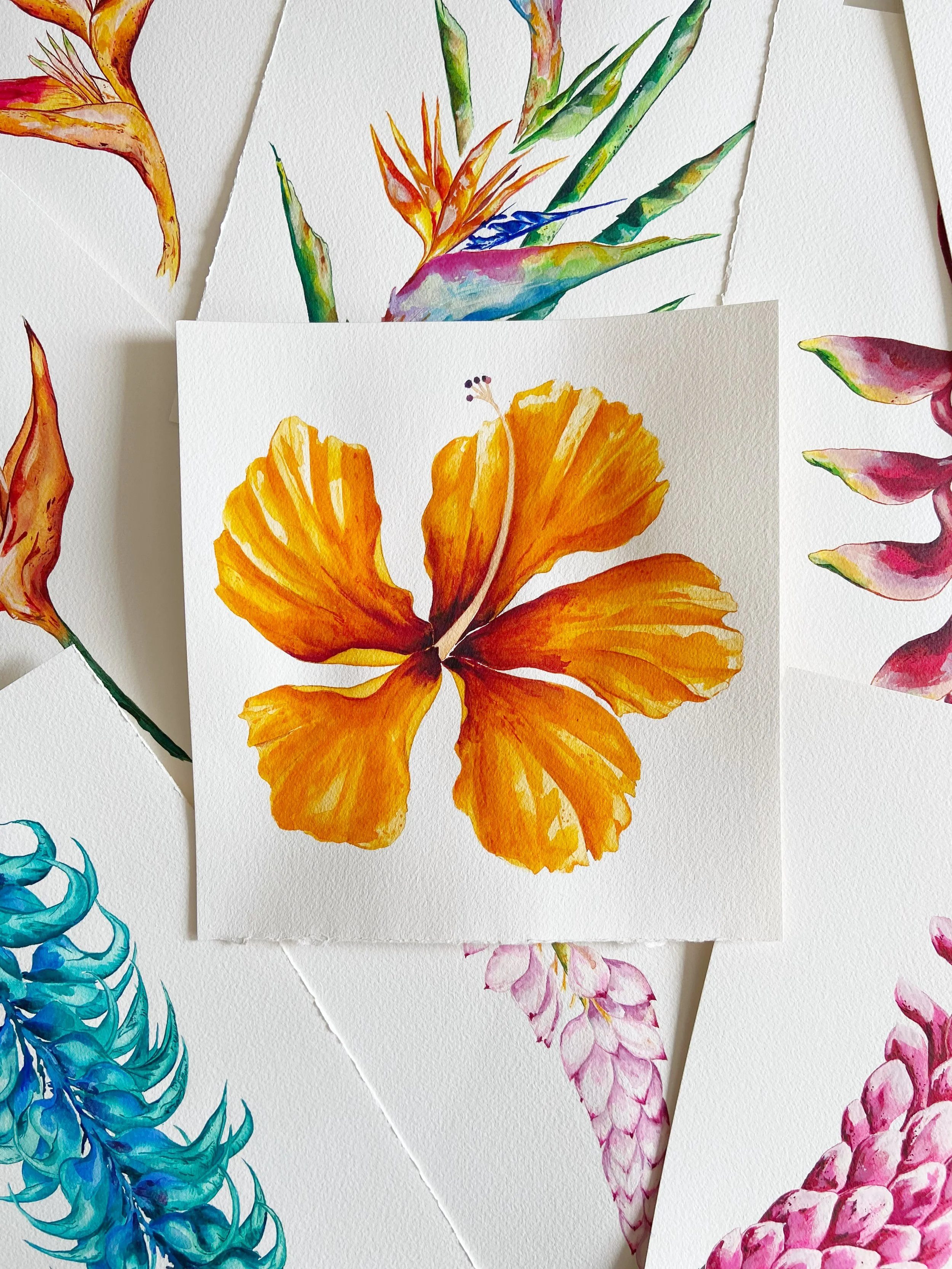 AfterlightImage 361.JPG