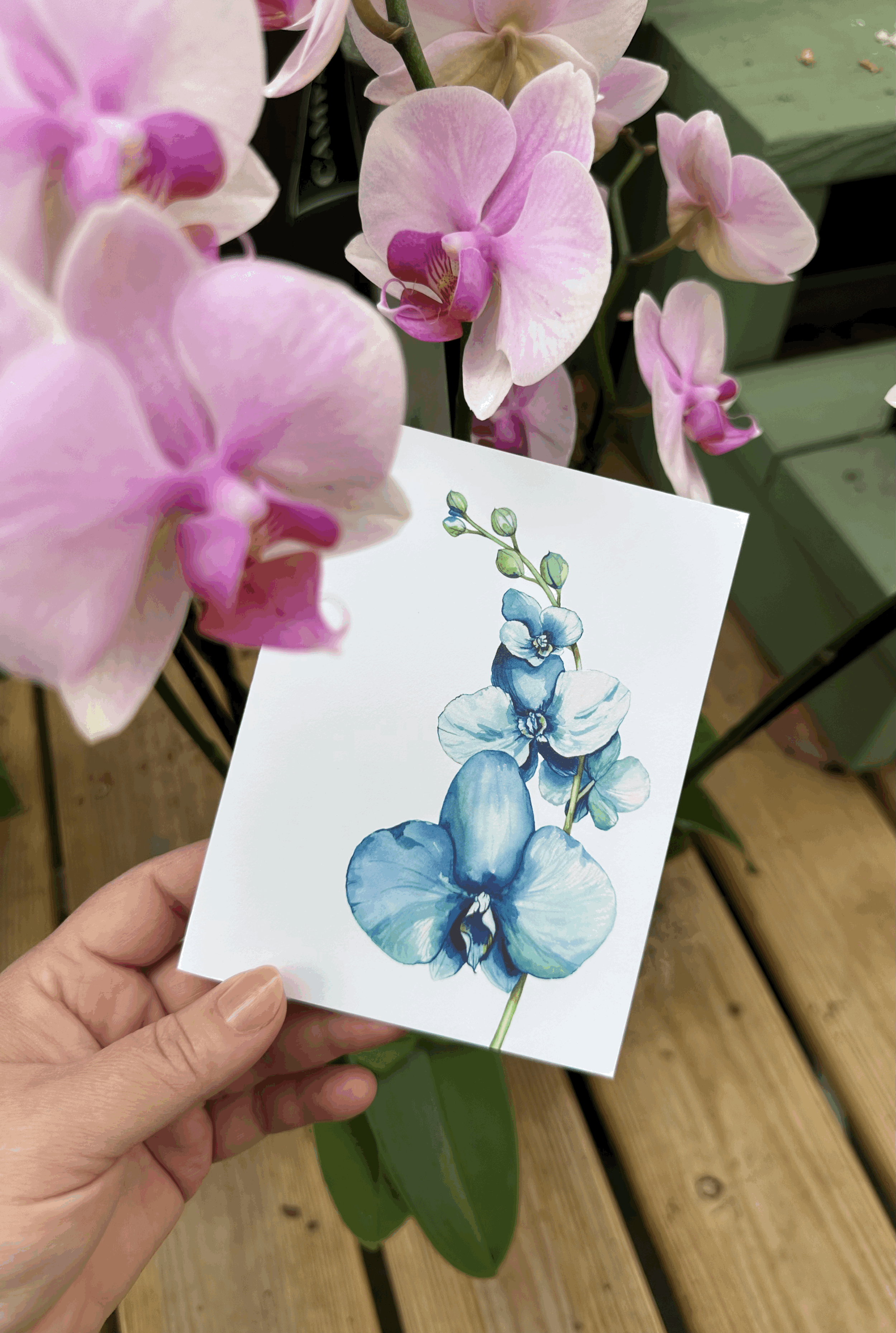 Blue Orchid Greeting Card